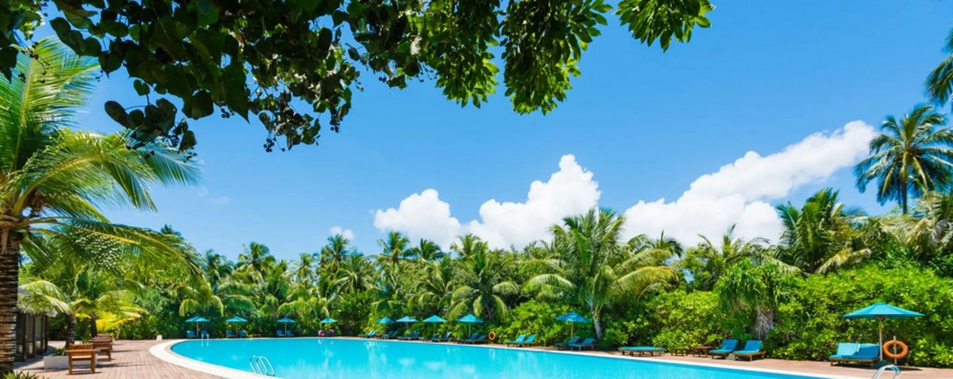black and brown leather padded tub sofa