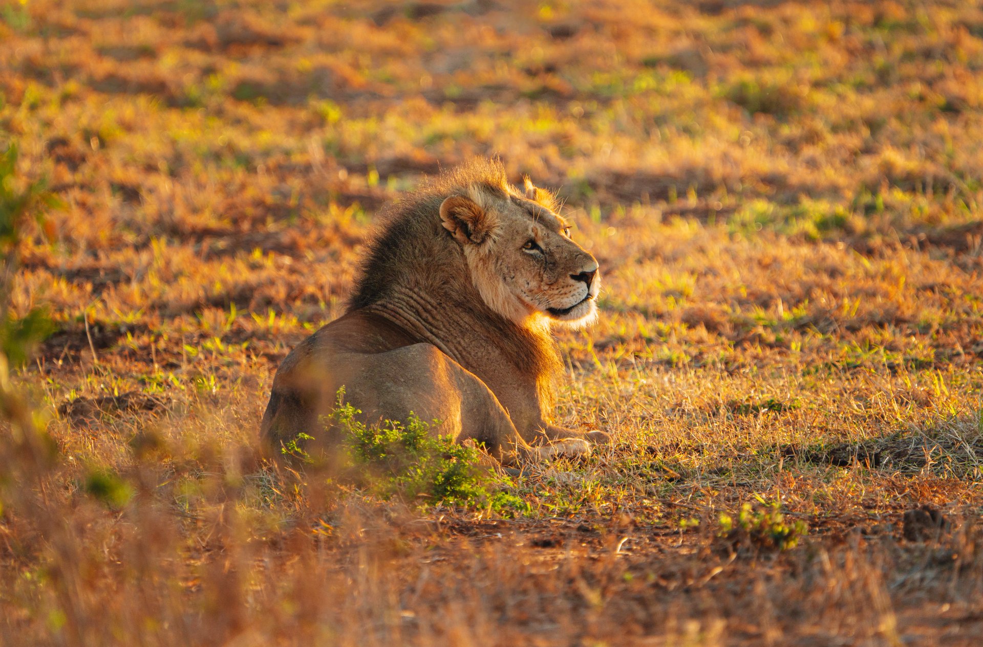 gray computer monitor
