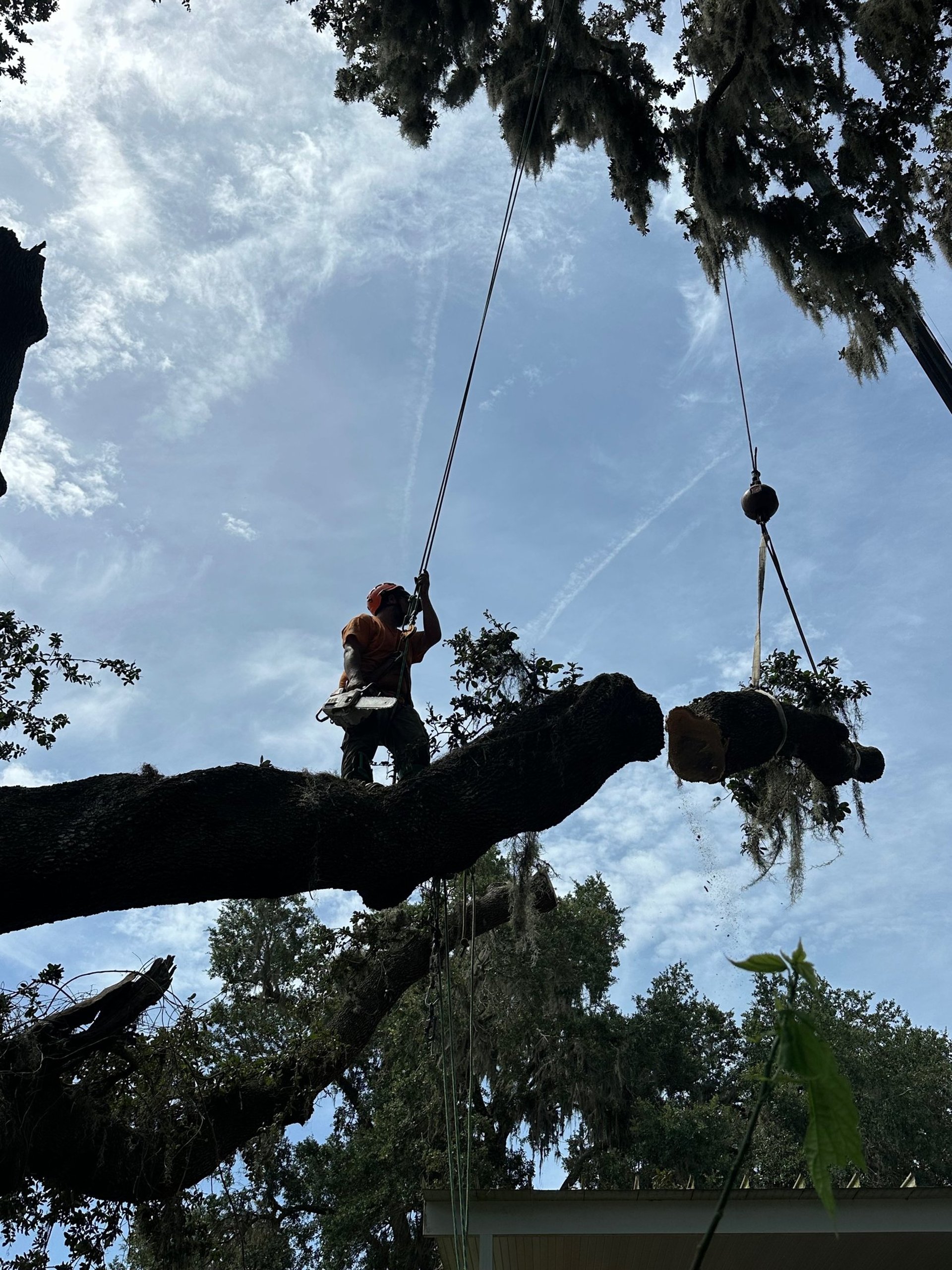 woman wearing yellow long-sleeved dress under white clouds and blue sky during daytime