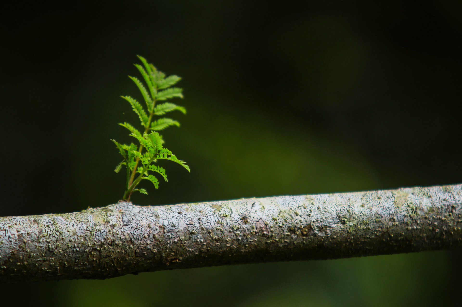 green mountain under white sky during daytime