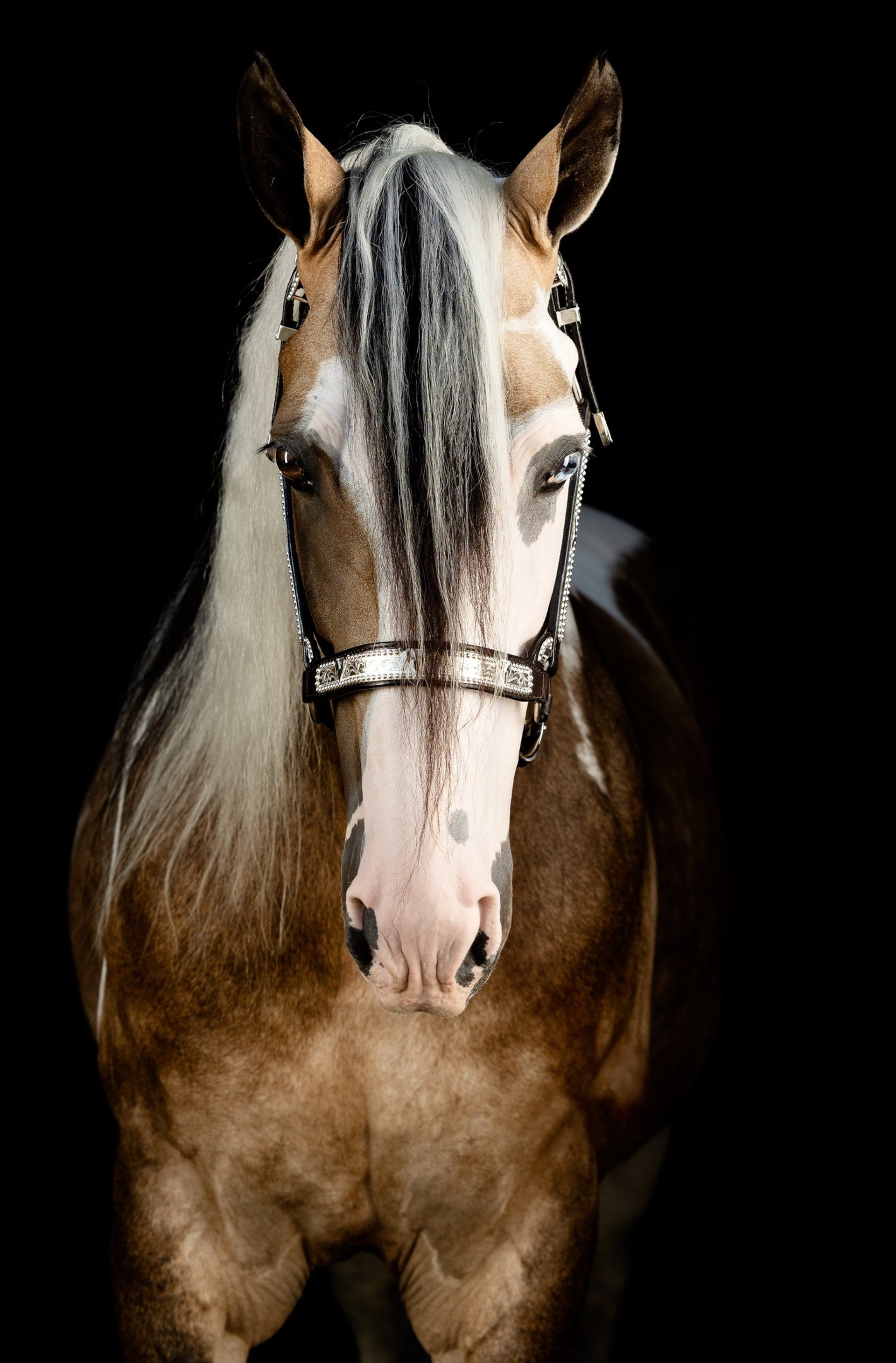 a close up of a black and brown abstract painting