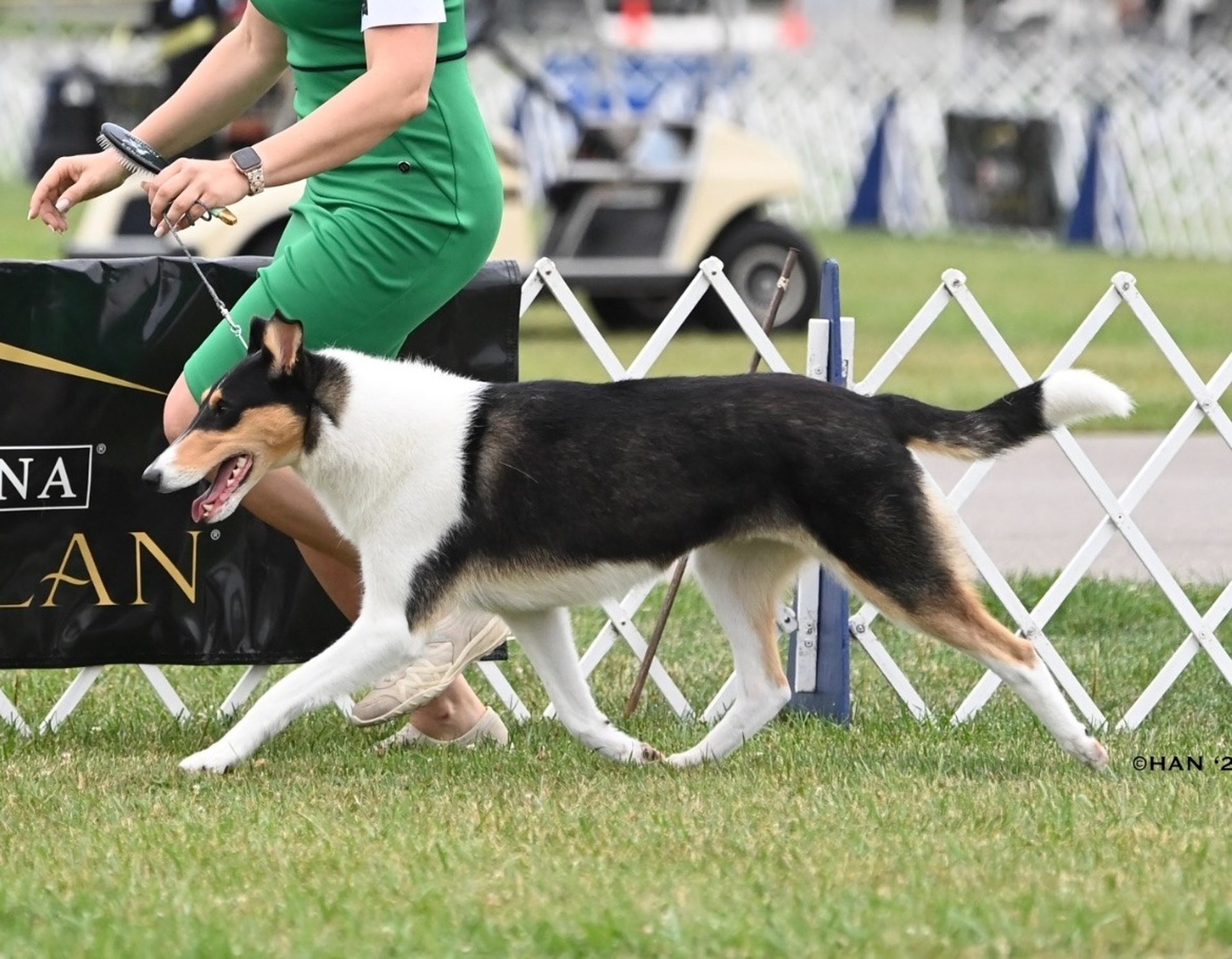 an abstract photo of a curved building with a blue sky in the background