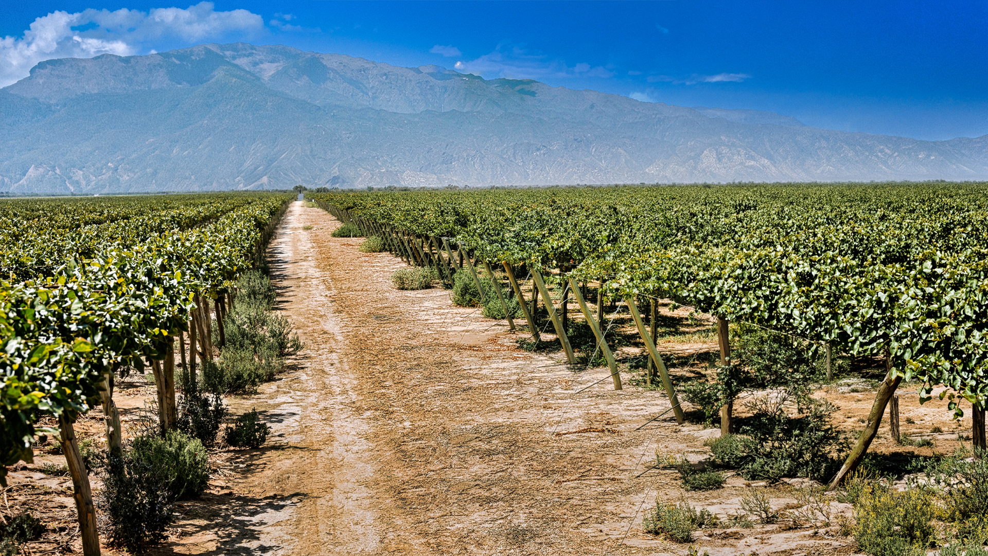 mountain range under blue sky