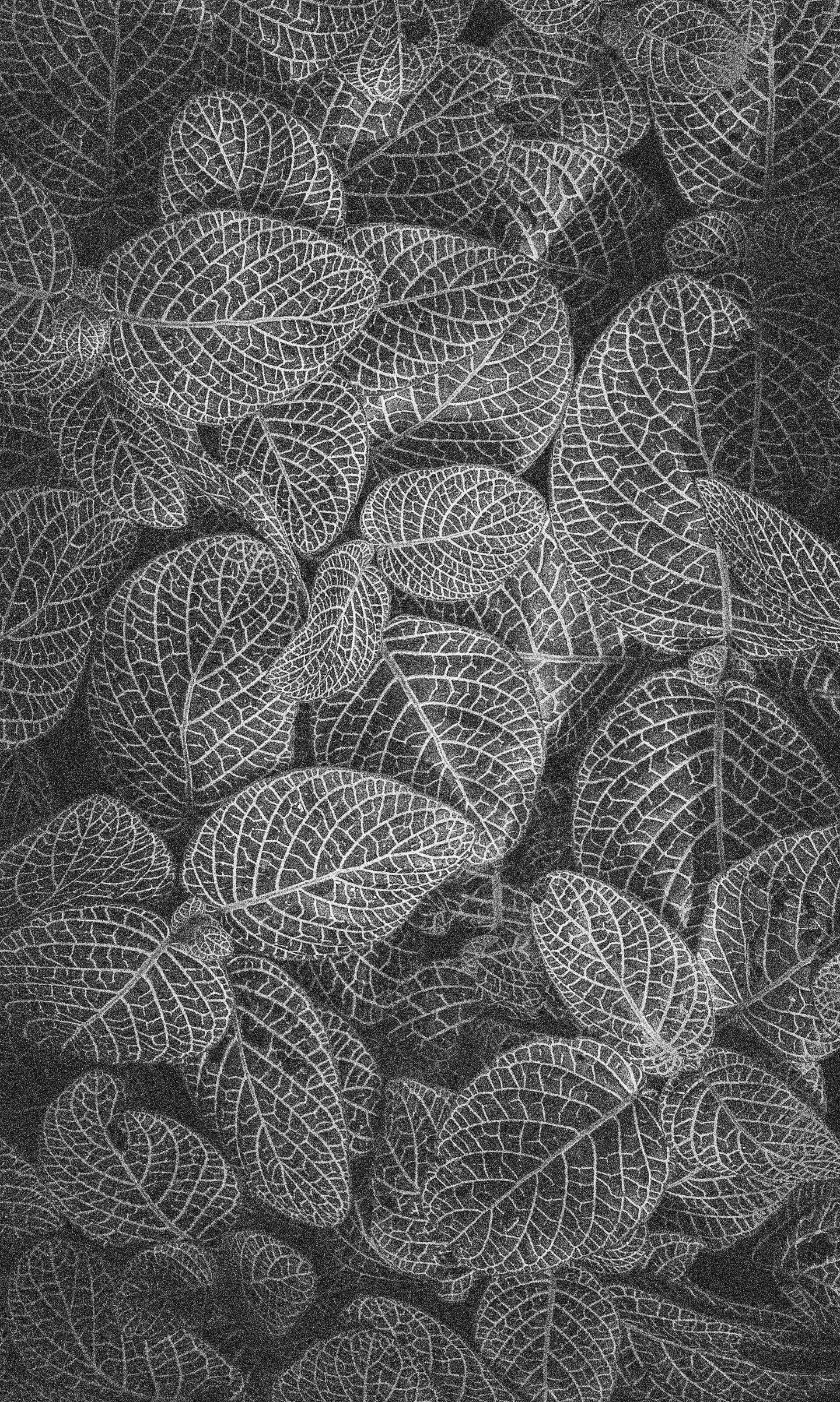 black and white concrete building