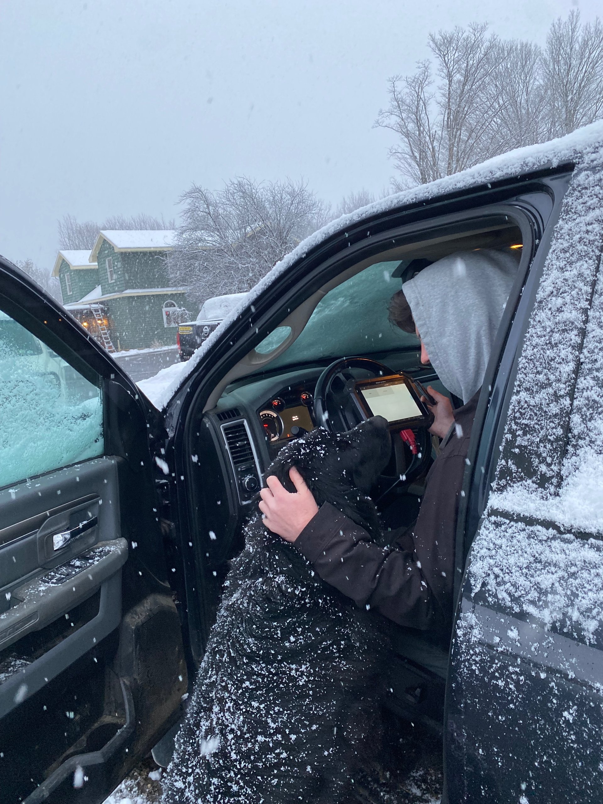 black and white bed linen