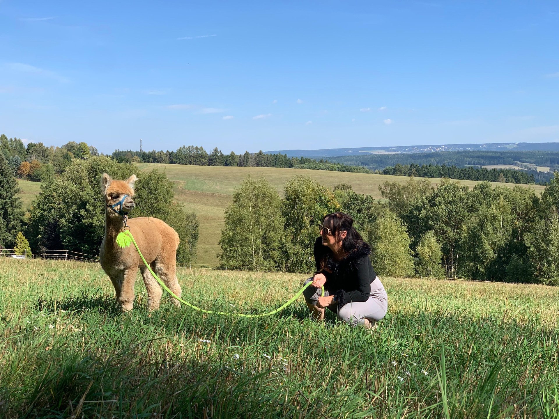 black and white bed linen