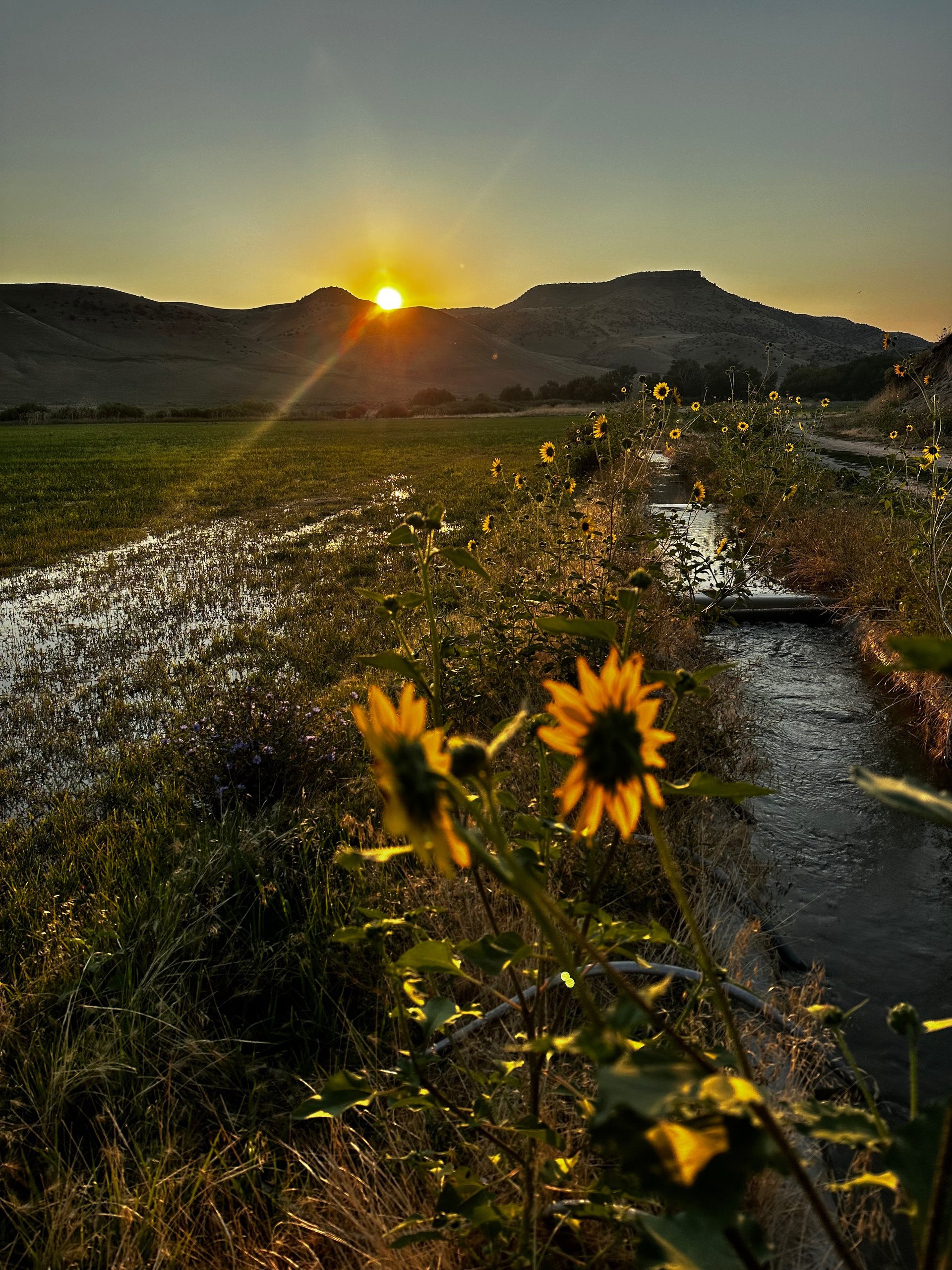 gray computer monitor