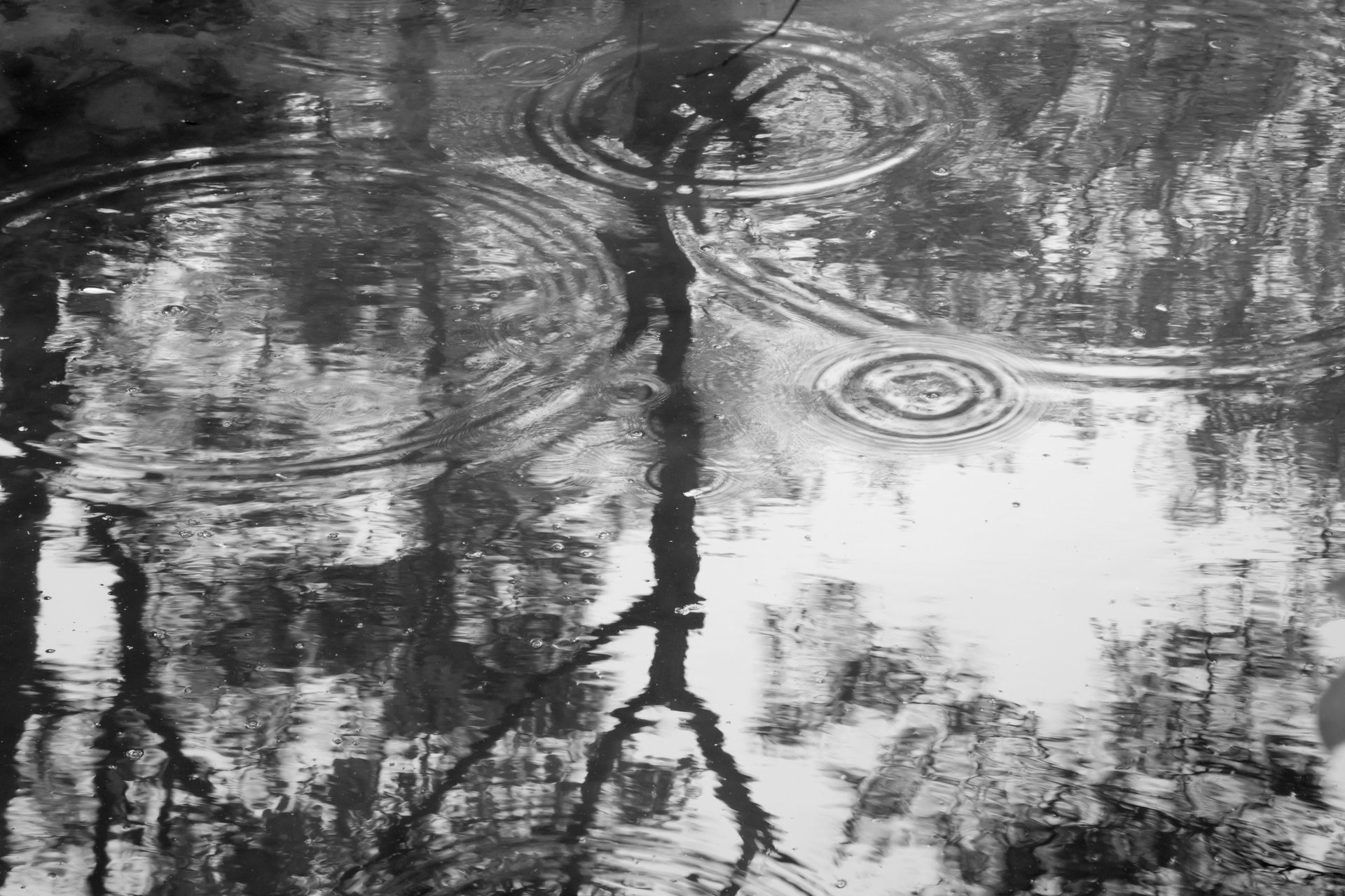 gray computer monitor