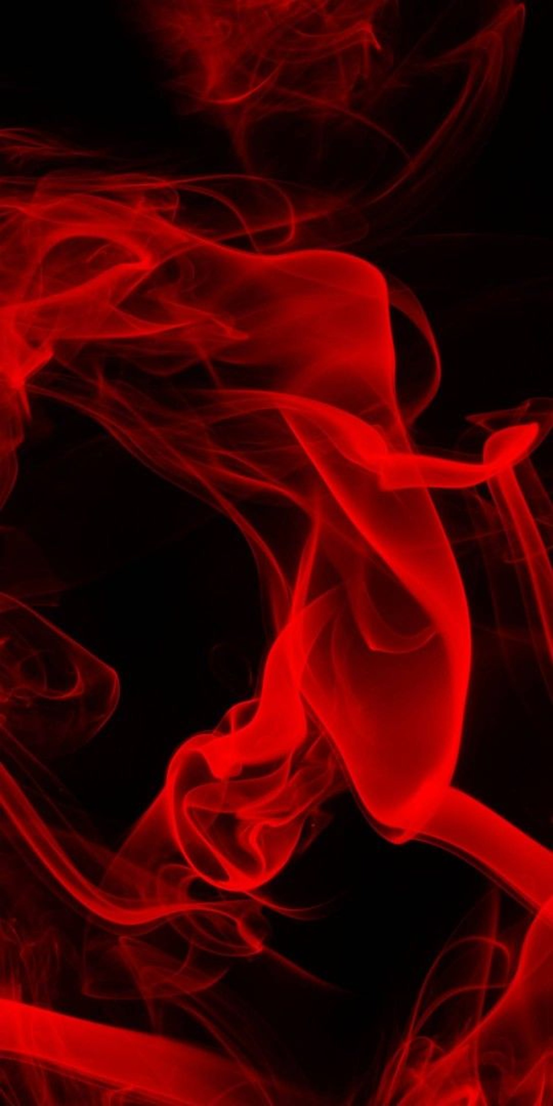 an abstract photo of a curved building with a blue sky in the background