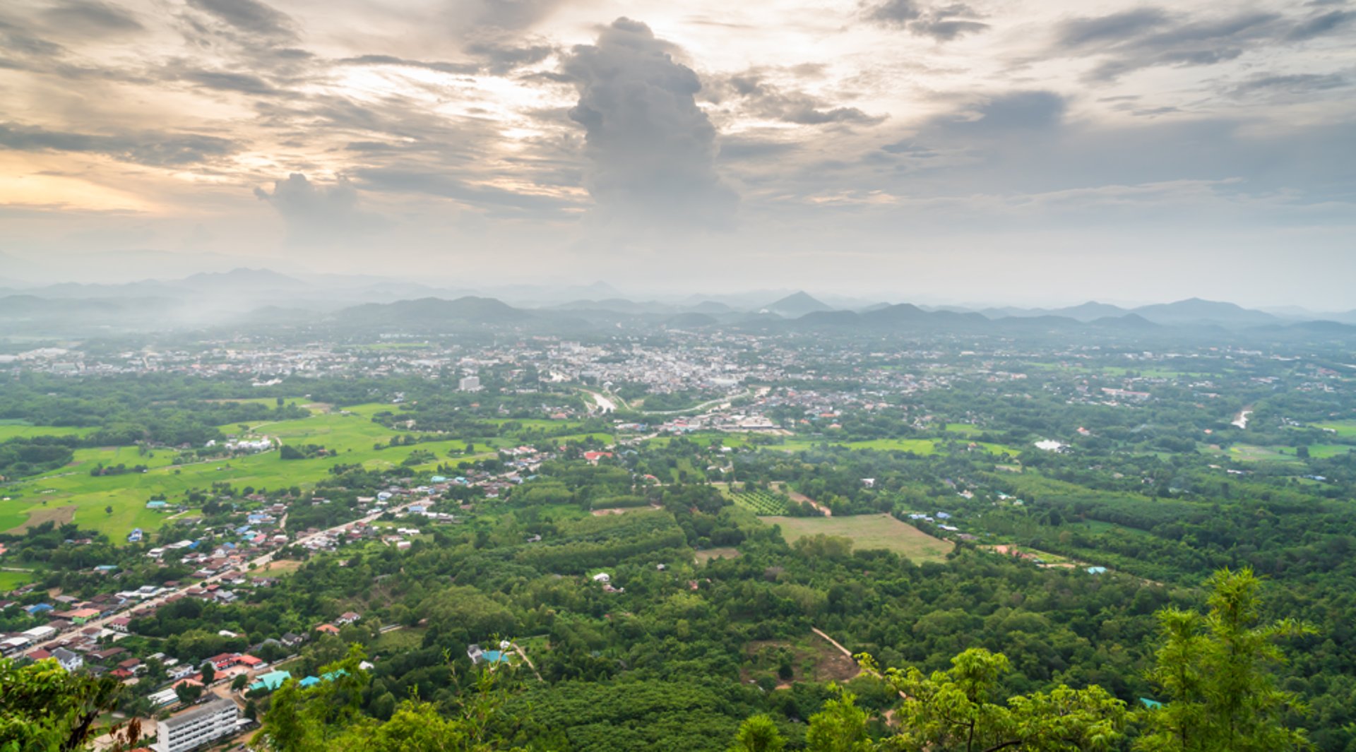 black and brown leather padded tub sofa