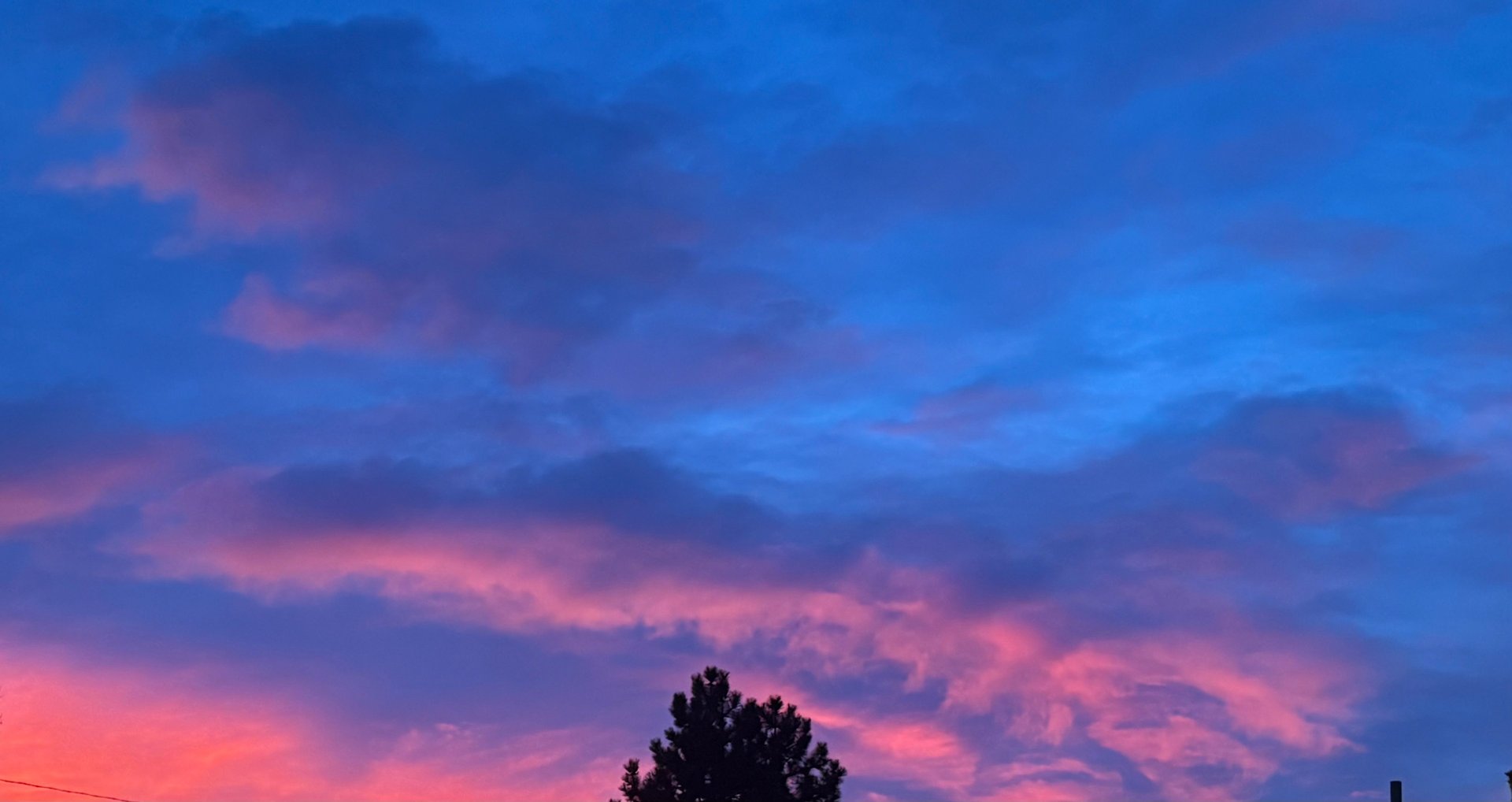 community-driven digital marketing agency sky background representing growth and brand clarity Ceylon Rose LLC