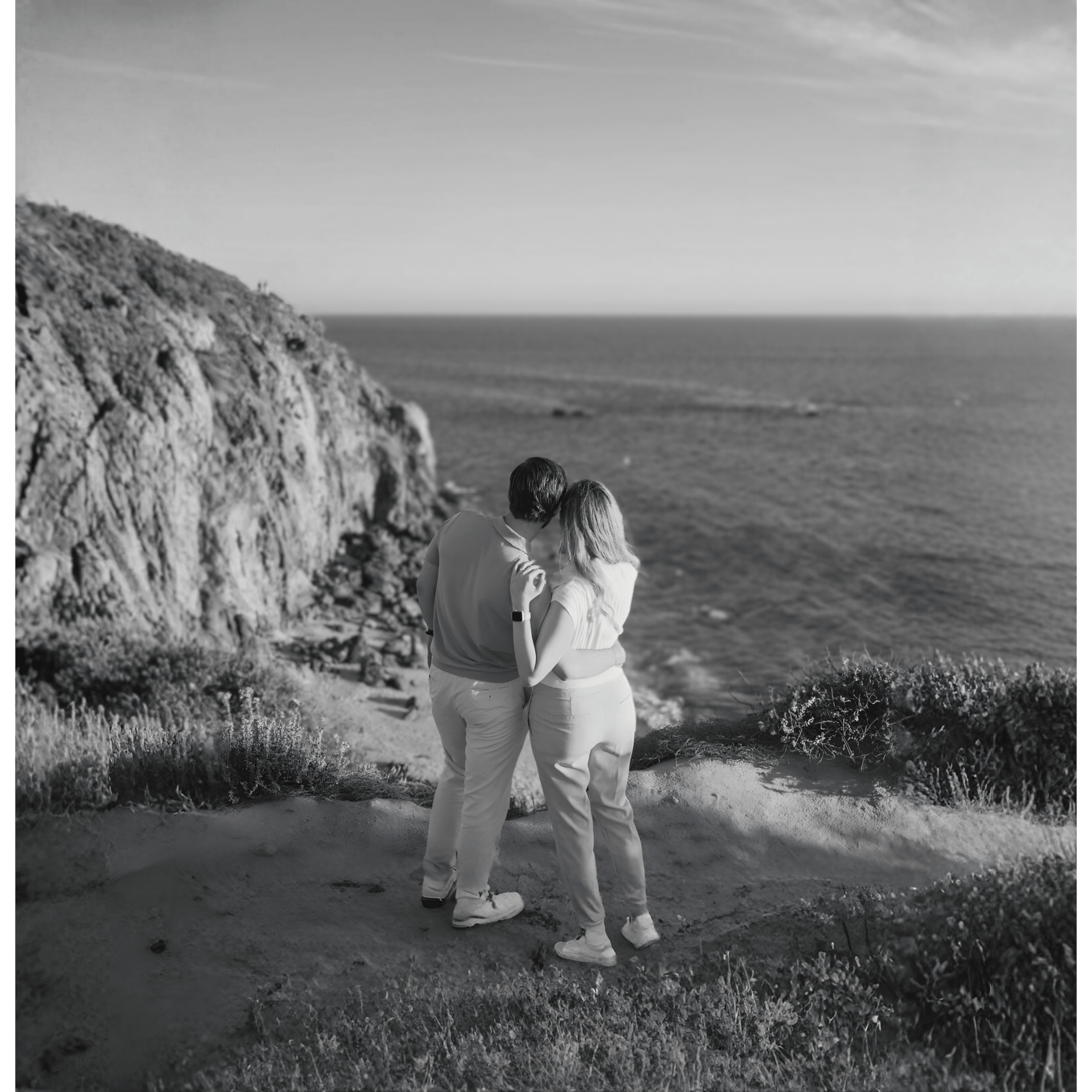 a pile of green olives and olives next to each other