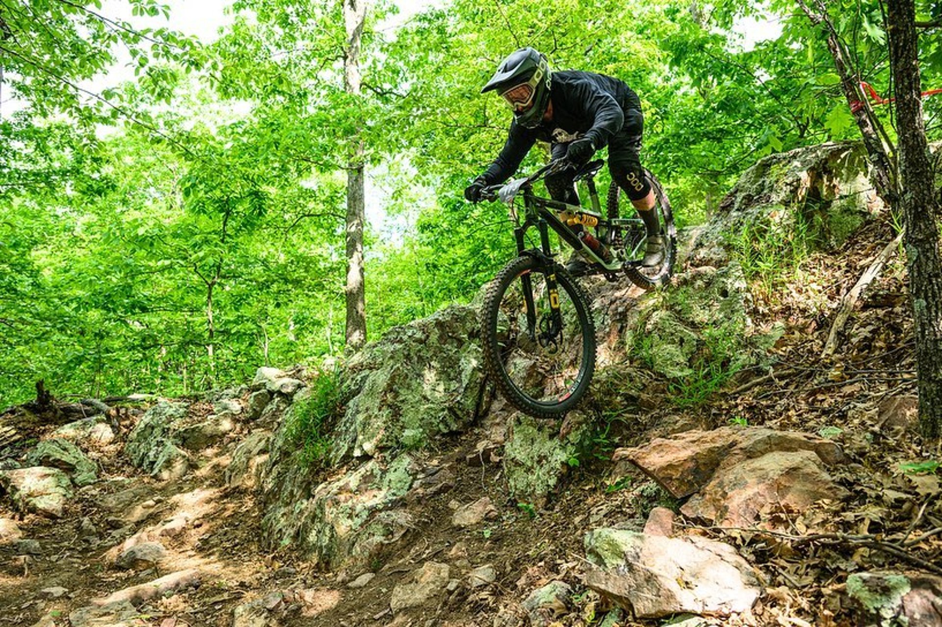 black and white bed linen