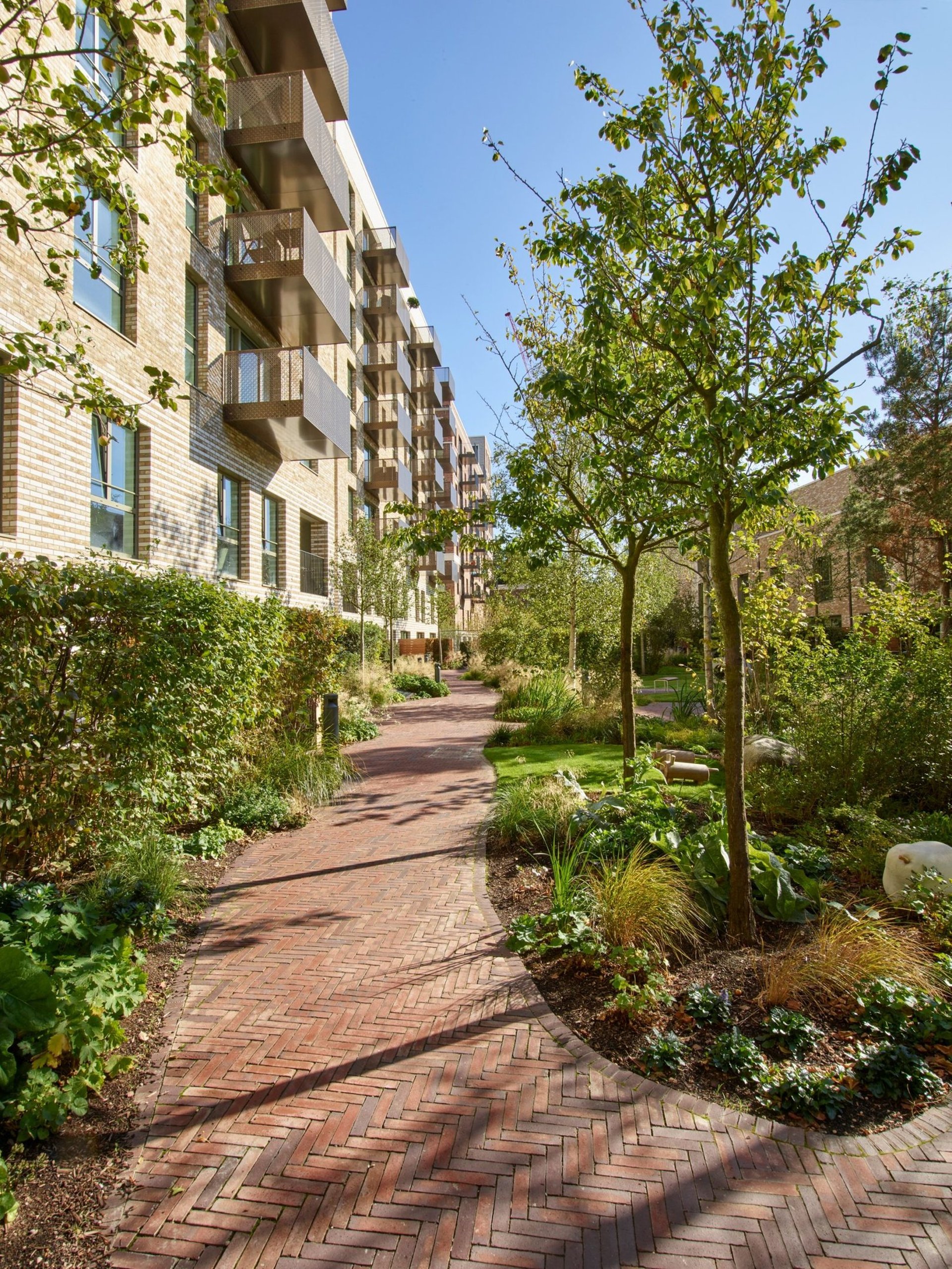 an abstract photo of a curved building with a blue sky in the background