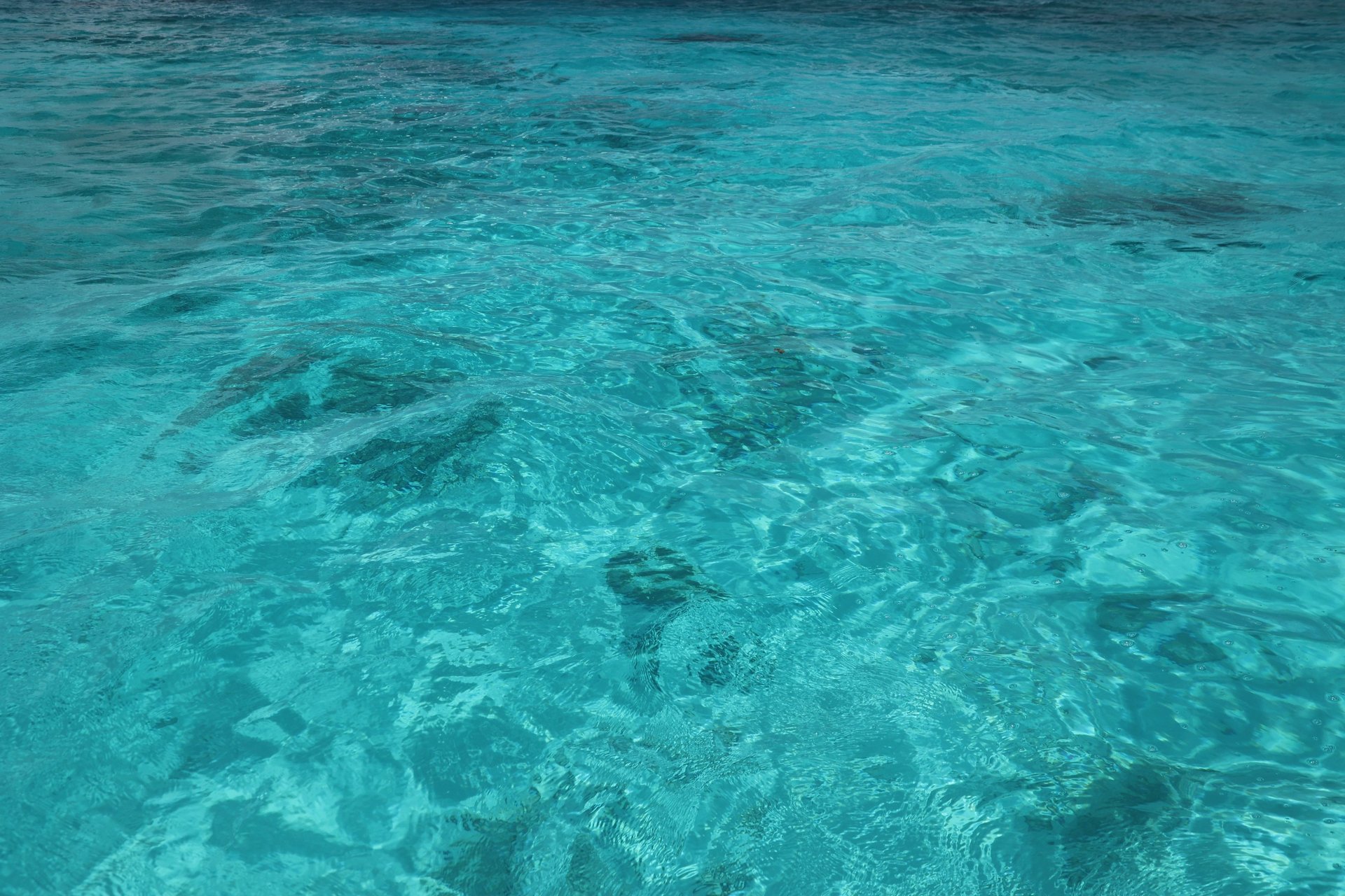 solar panels on a roof