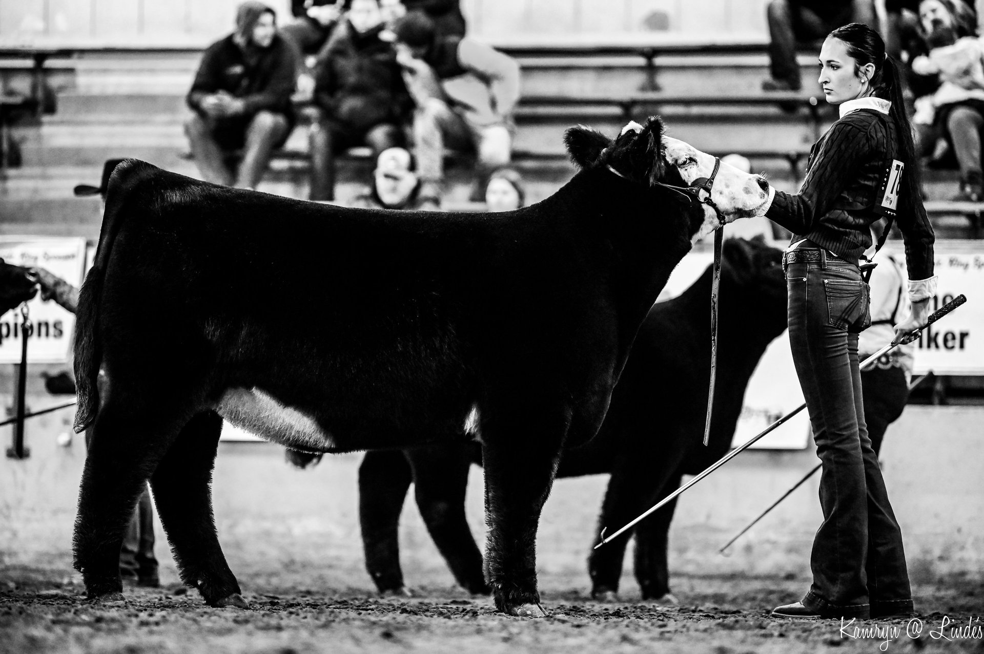 black and white bed linen