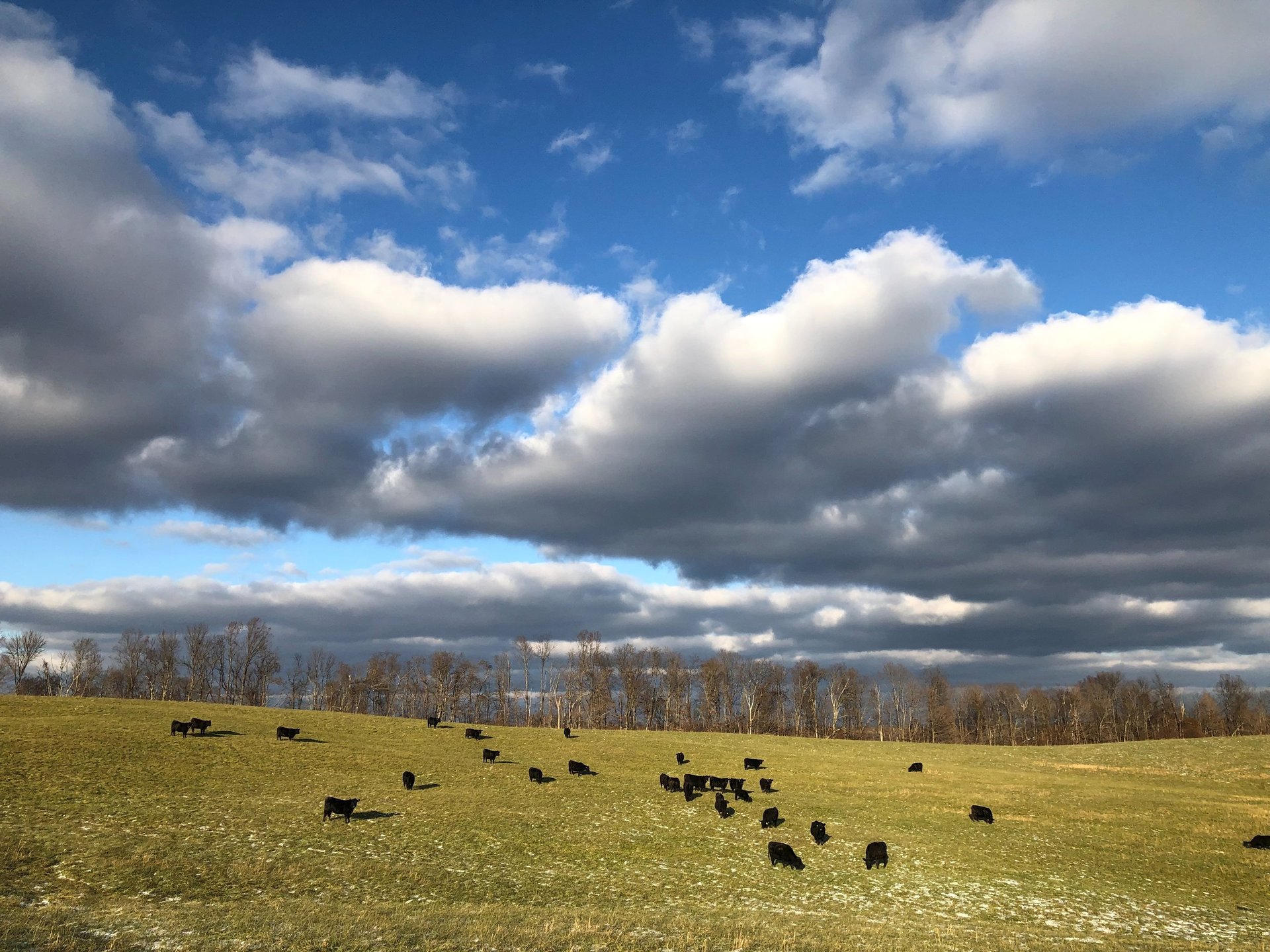 gray computer monitor