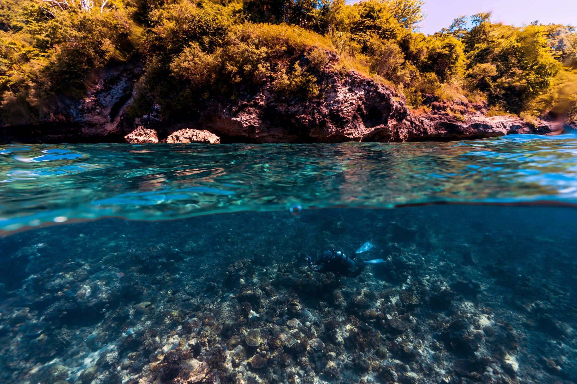 black and white bed linen