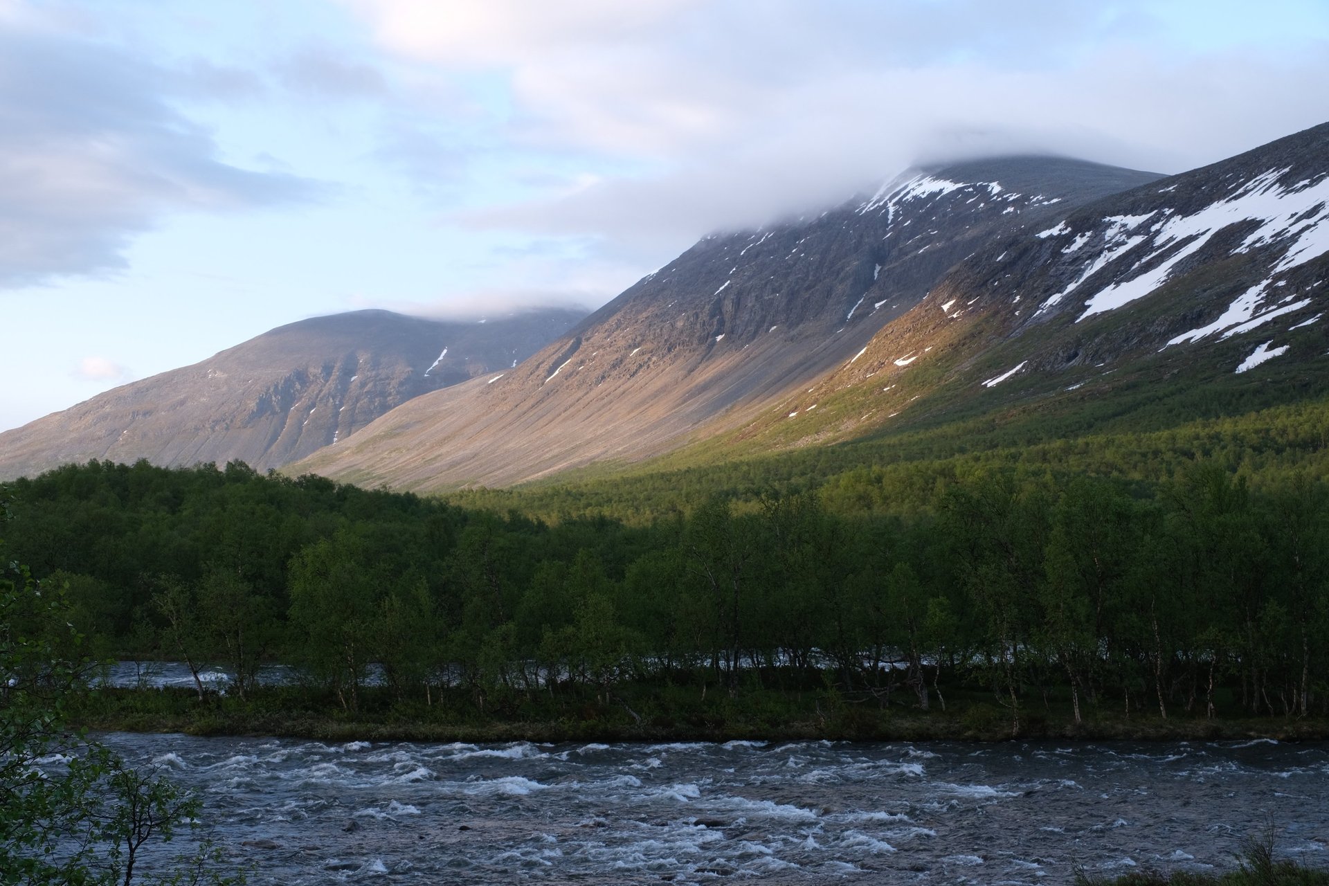 gray computer monitor