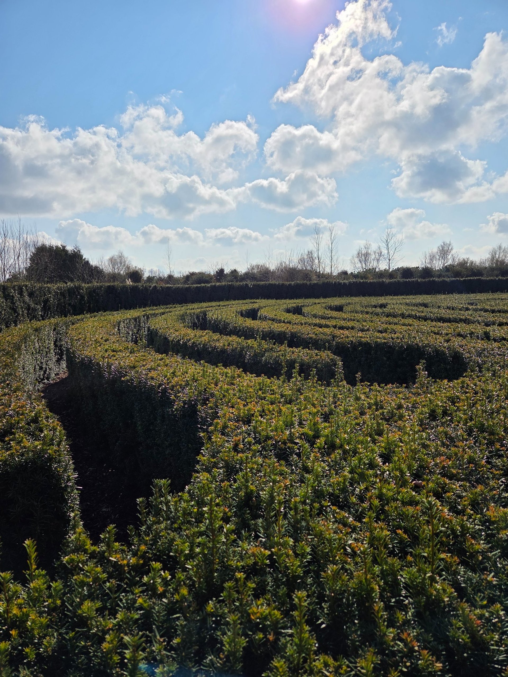 black and brown leather padded tub sofa