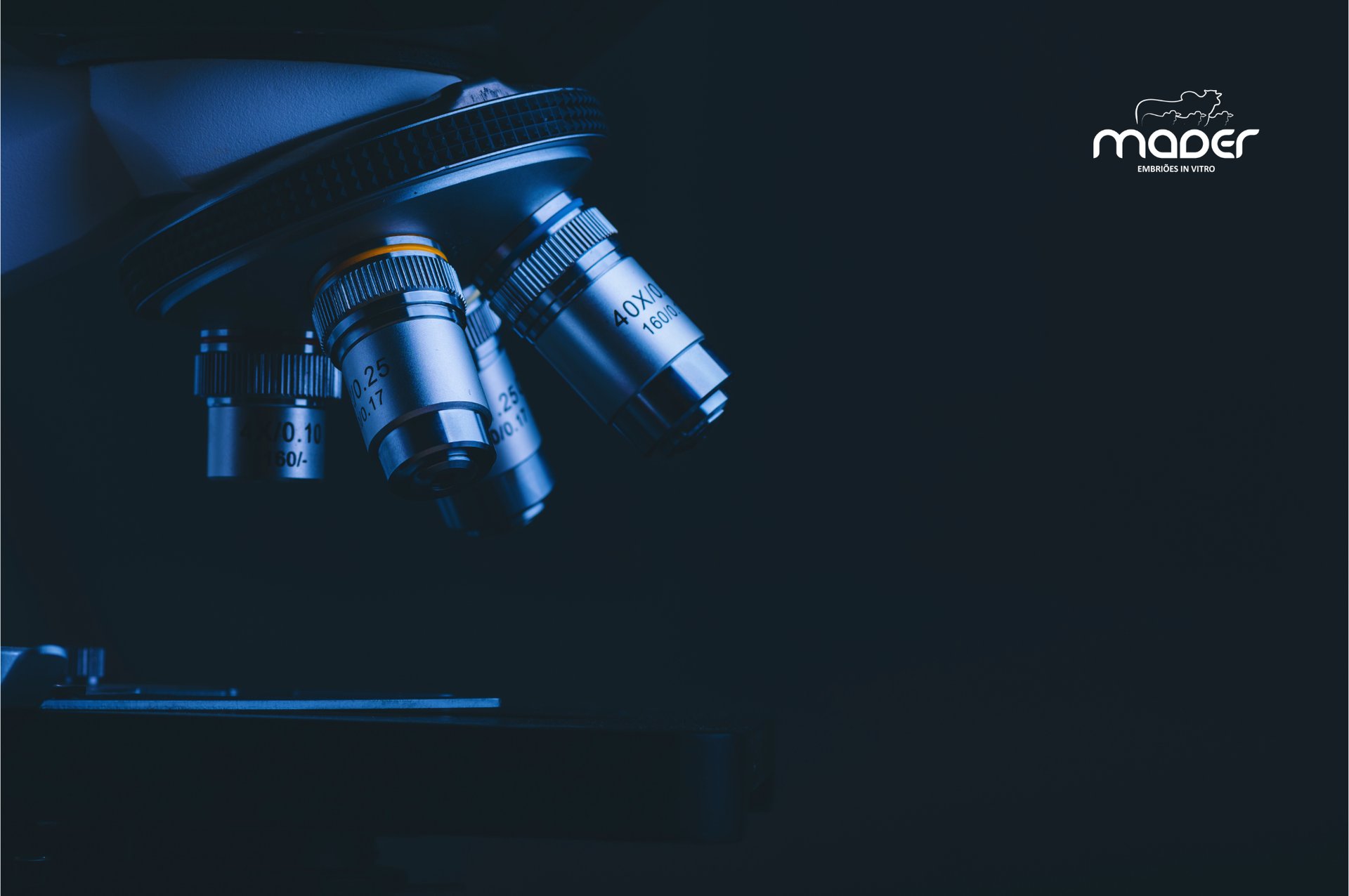 black and brown leather padded tub sofa