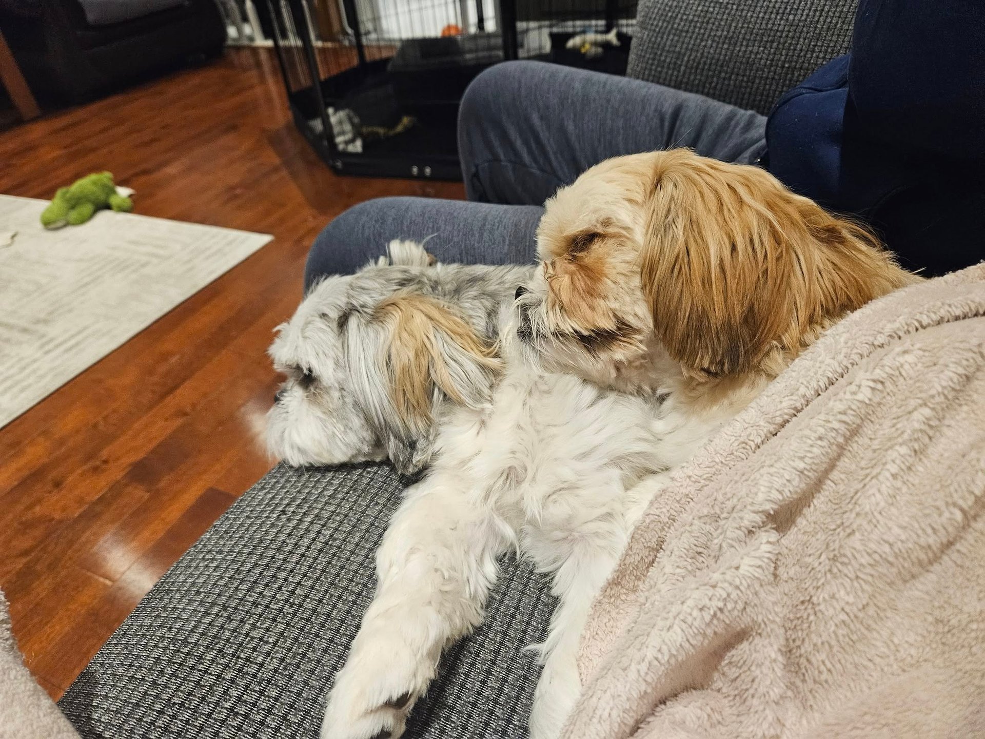 woman wearing yellow long-sleeved dress under white clouds and blue sky during daytime
