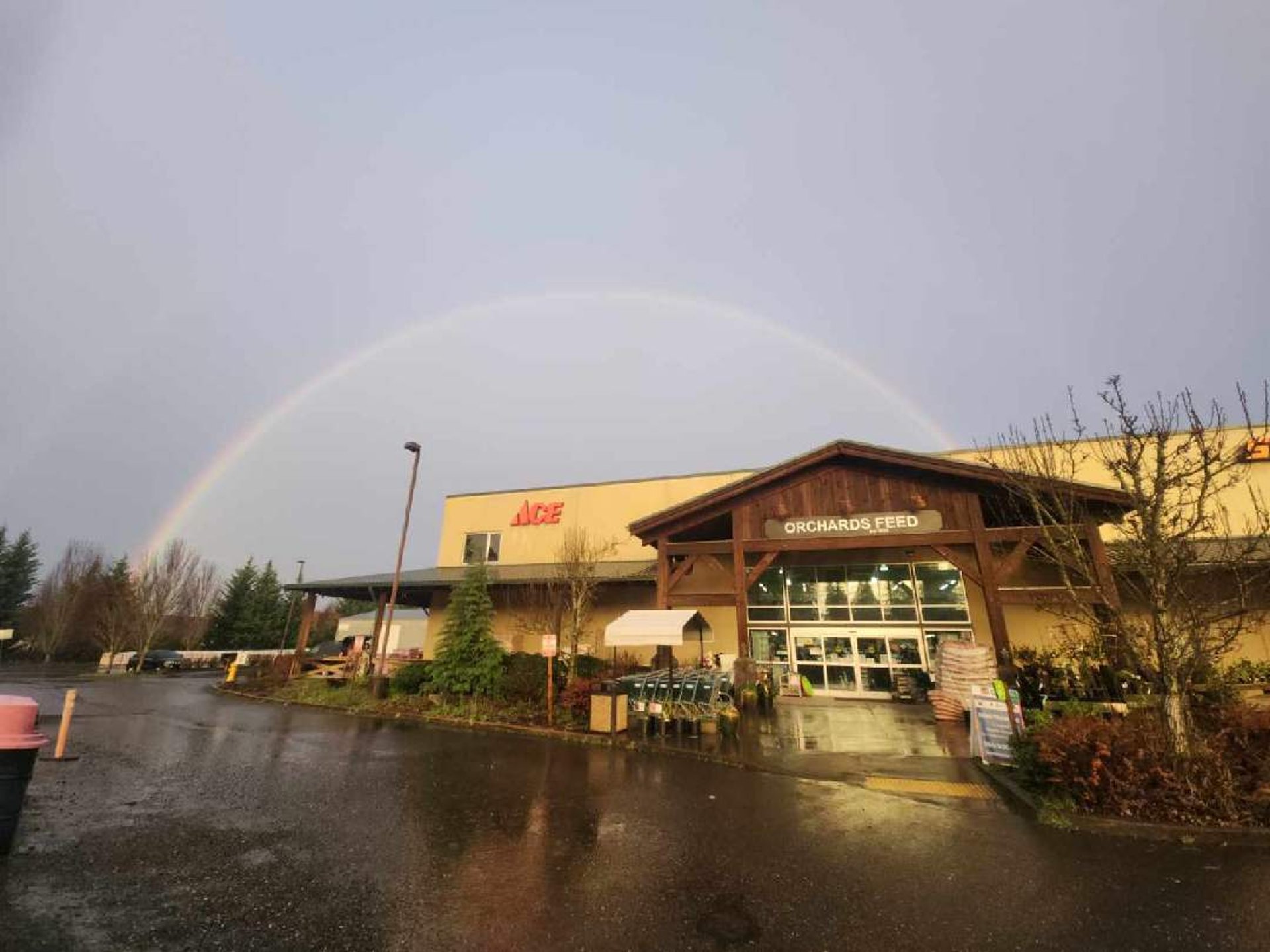 black and brown leather padded tub sofa