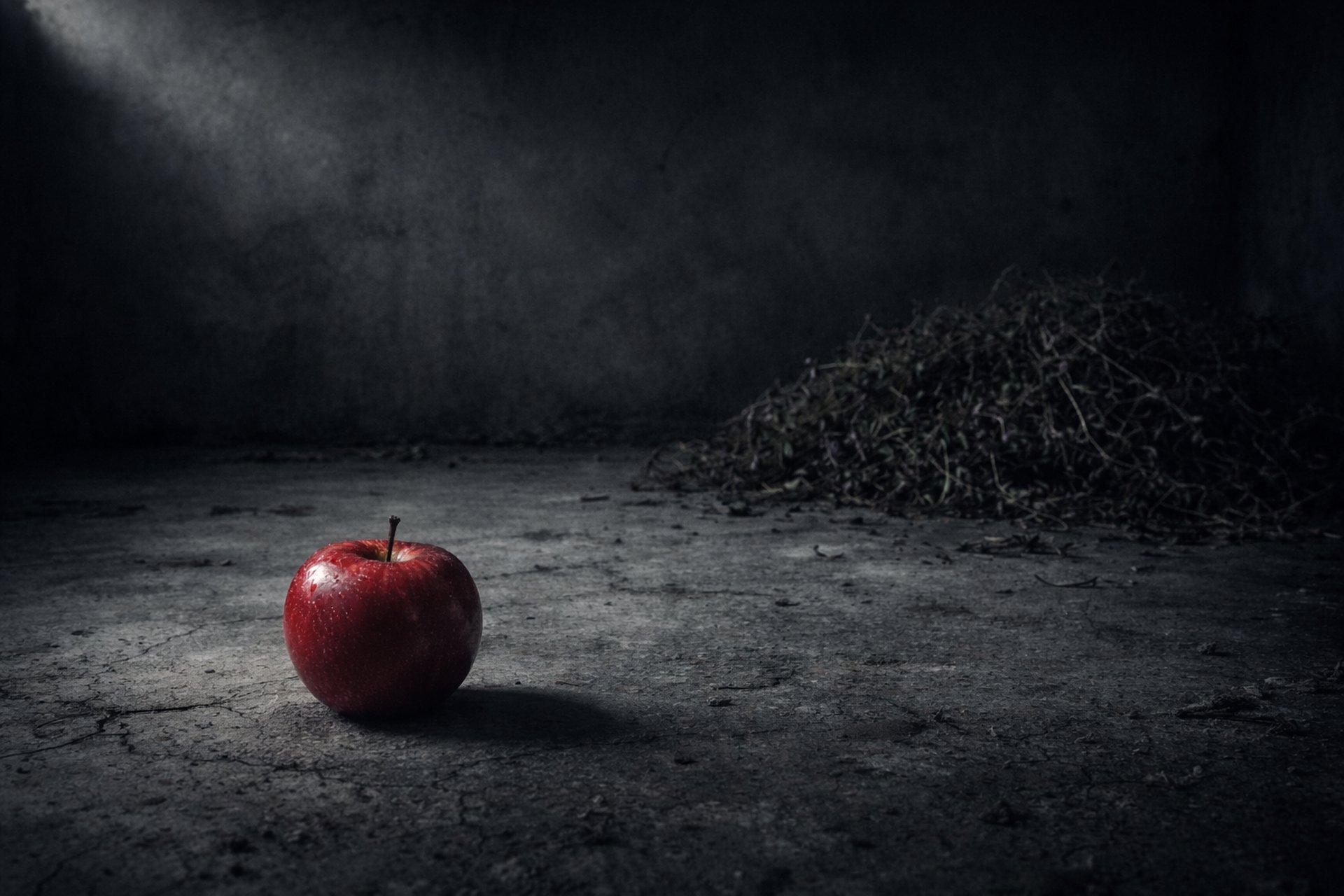 black and white bed linen