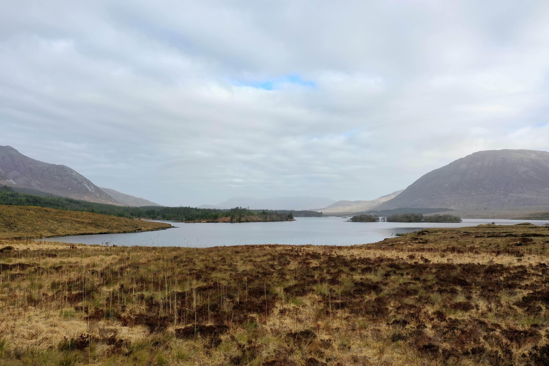 gray computer monitor