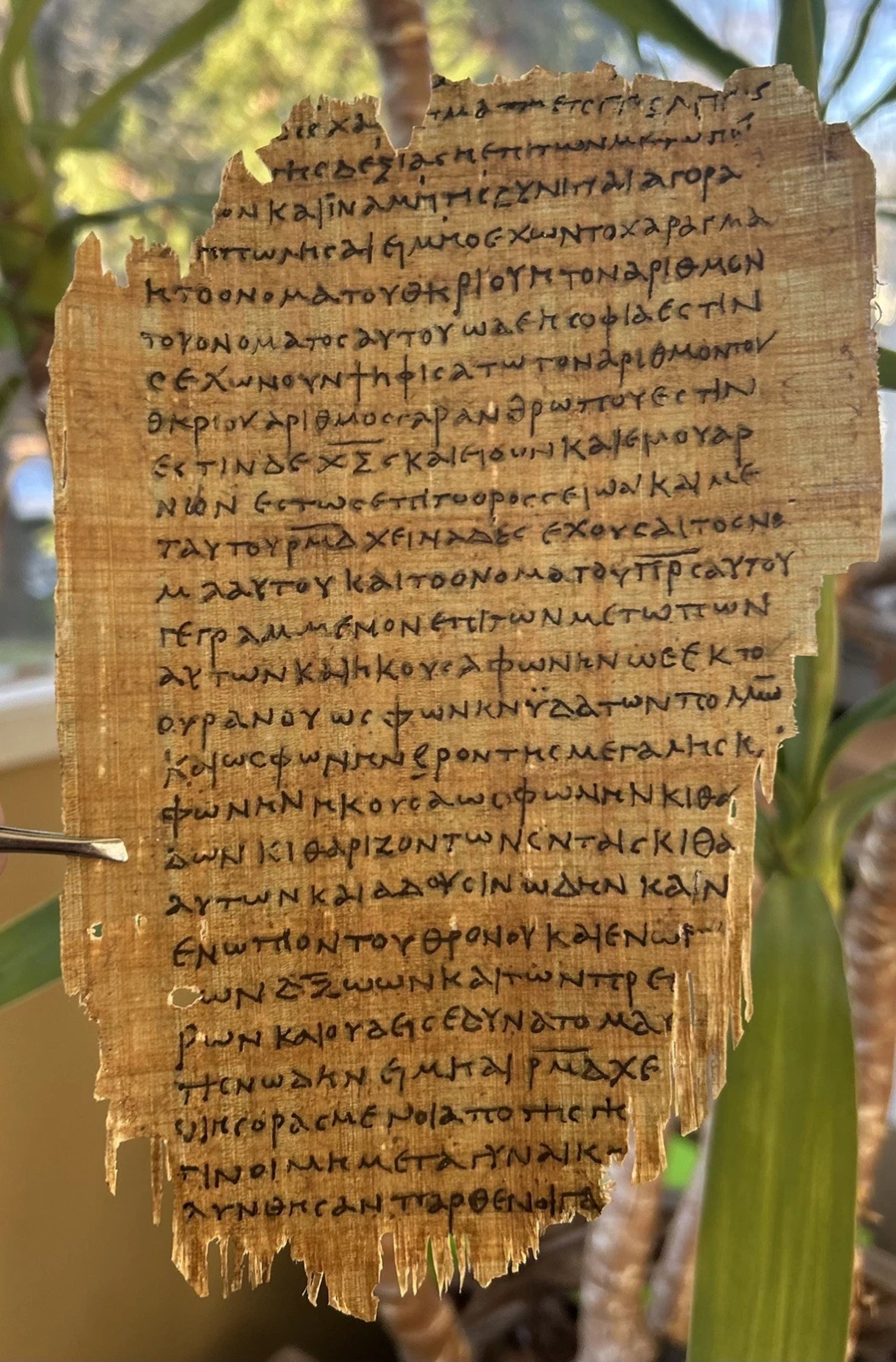 woman wearing yellow long-sleeved dress under white clouds and blue sky during daytime
