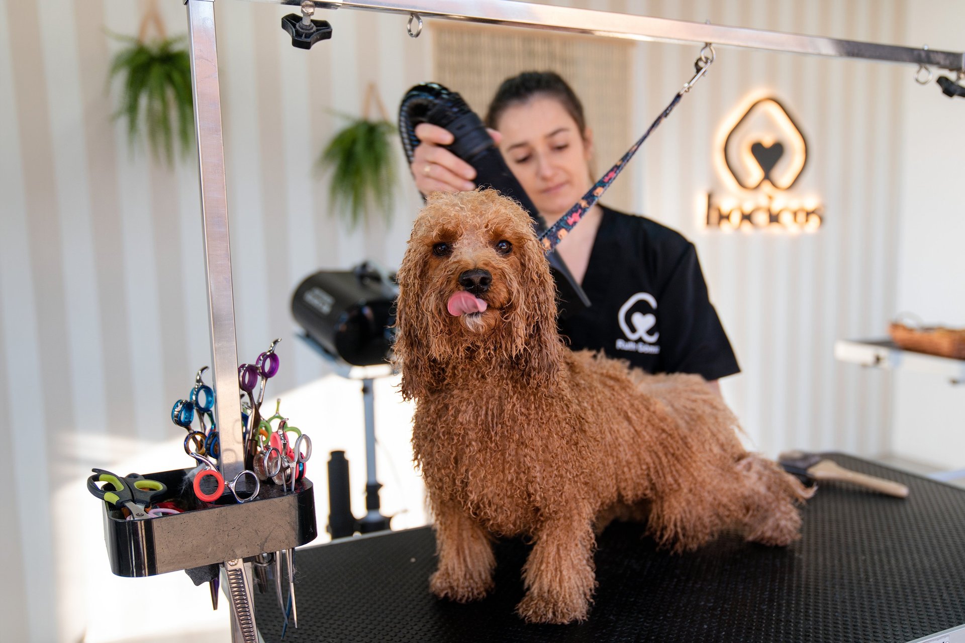 an abstract photo of a curved building with a blue sky in the background