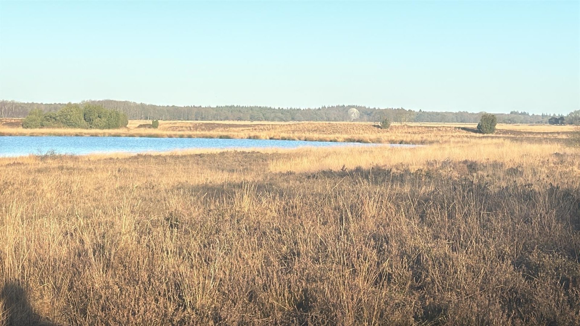 woman wearing yellow long-sleeved dress under white clouds and blue sky during daytime