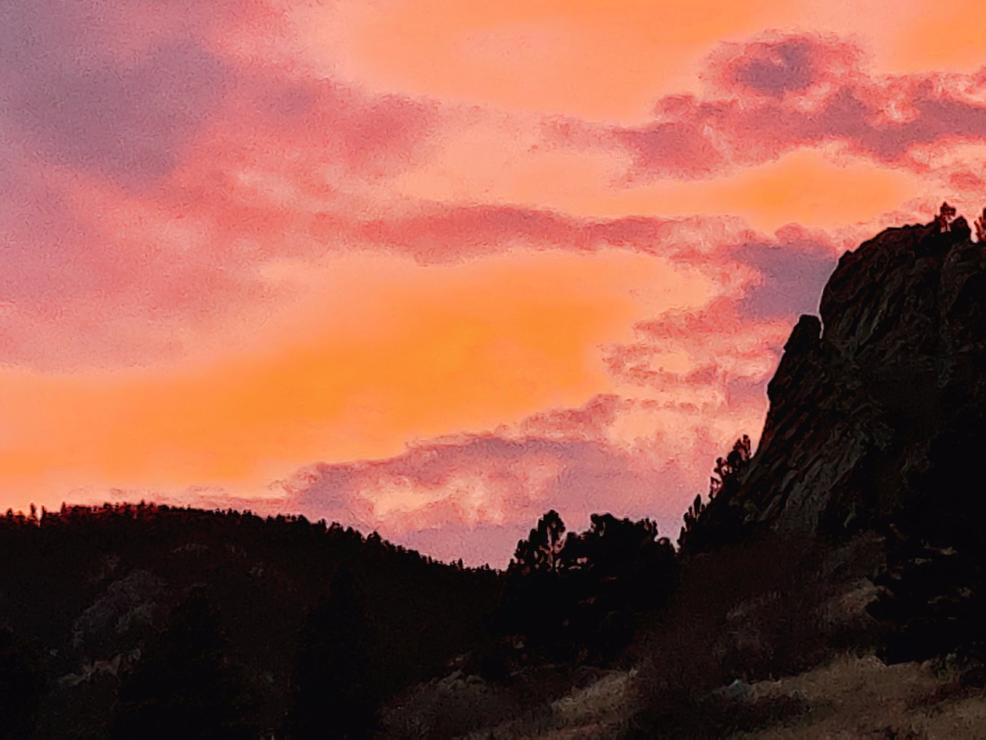 black and white bed linen