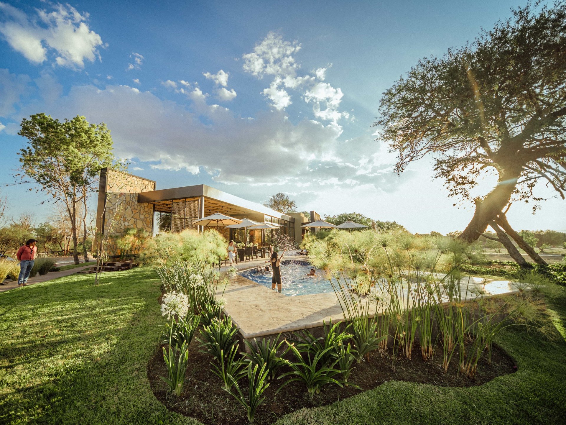 black and brown leather padded tub sofa