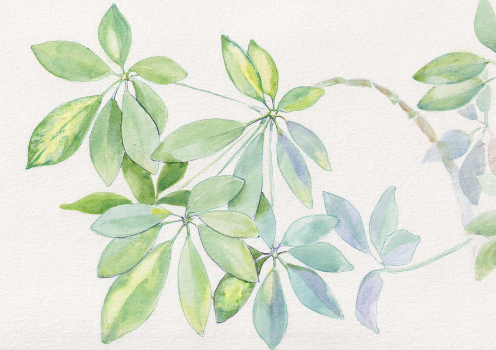 black blue and yellow textile