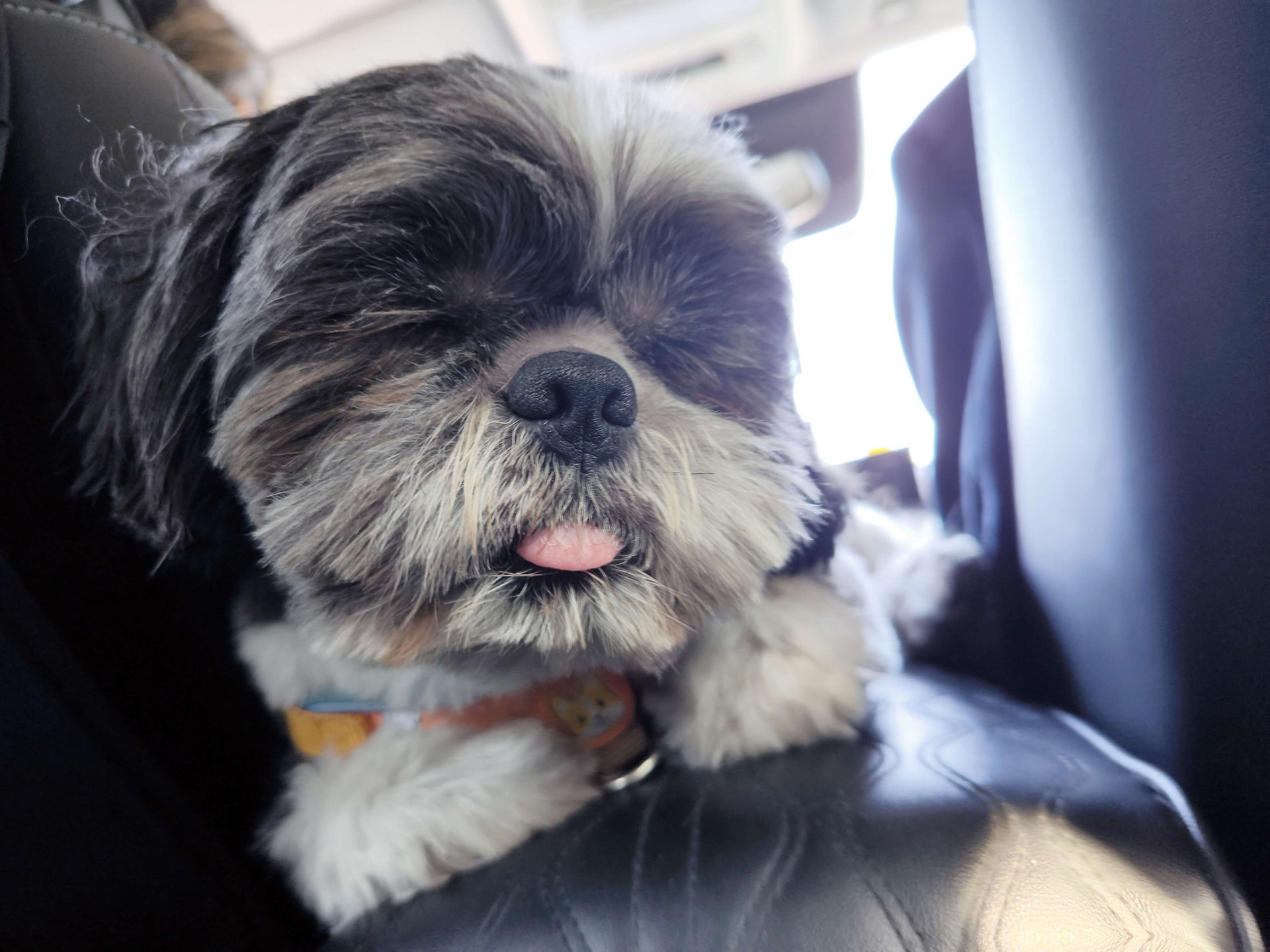 woman wearing yellow long-sleeved dress under white clouds and blue sky during daytime