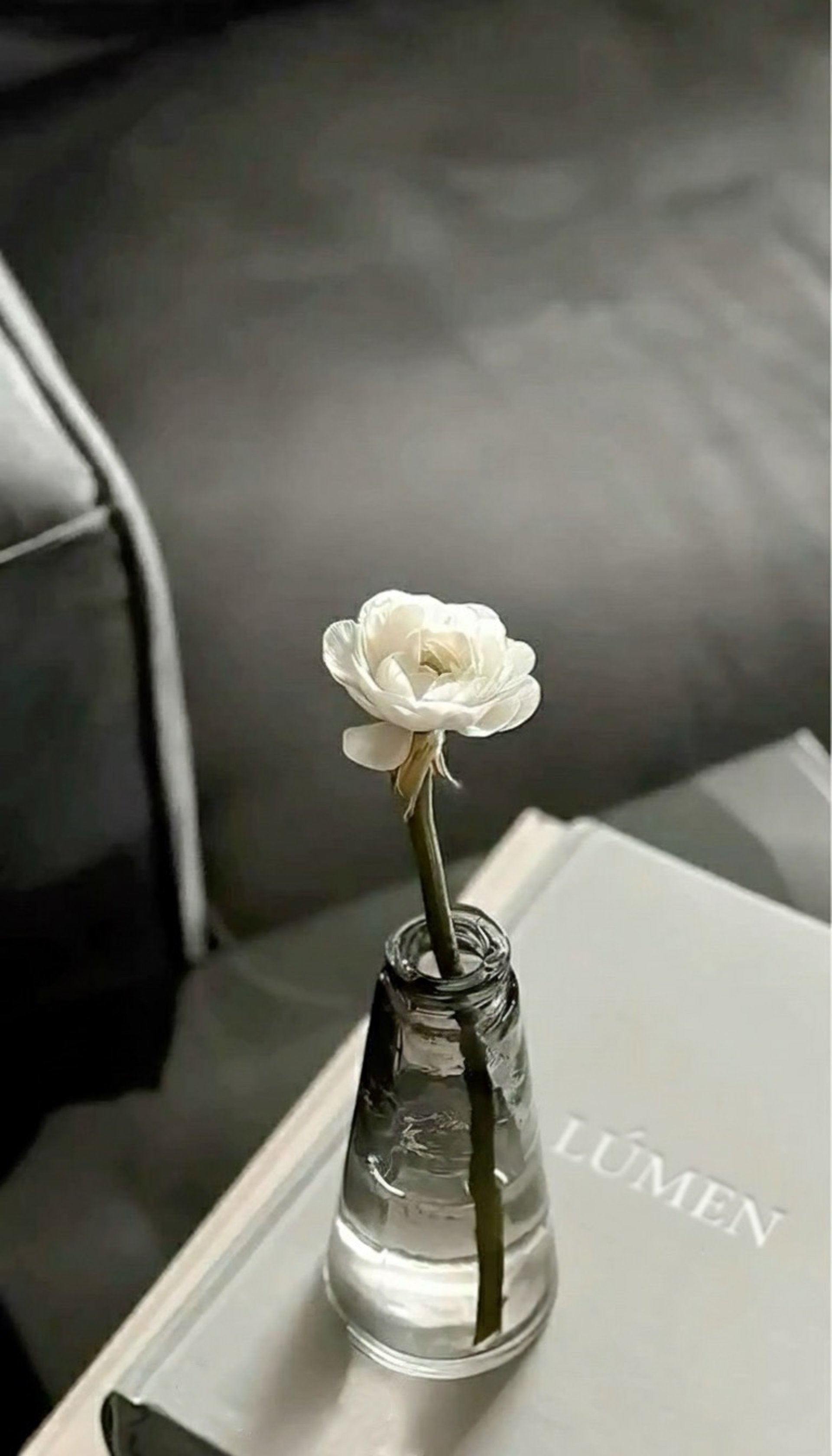 black and white bed linen