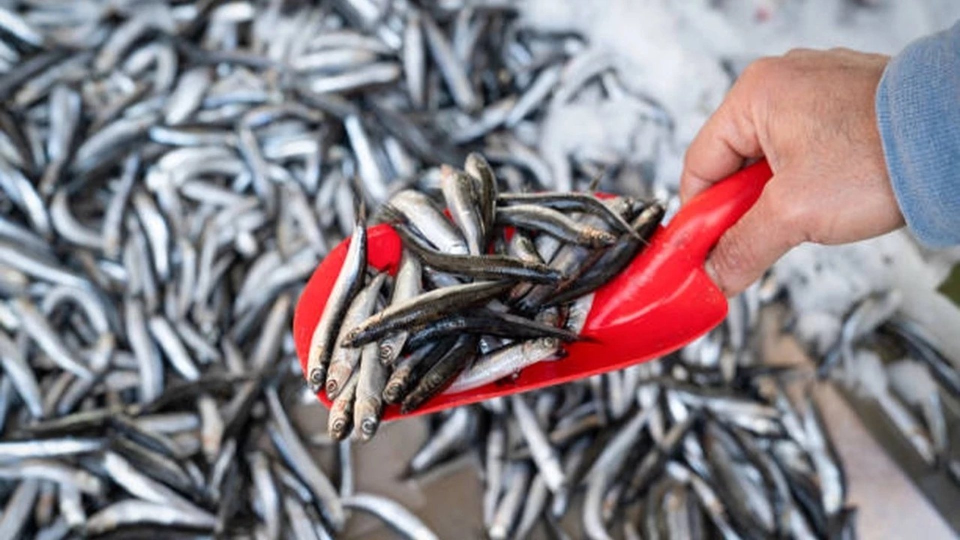 woman wearing yellow long-sleeved dress under white clouds and blue sky during daytime