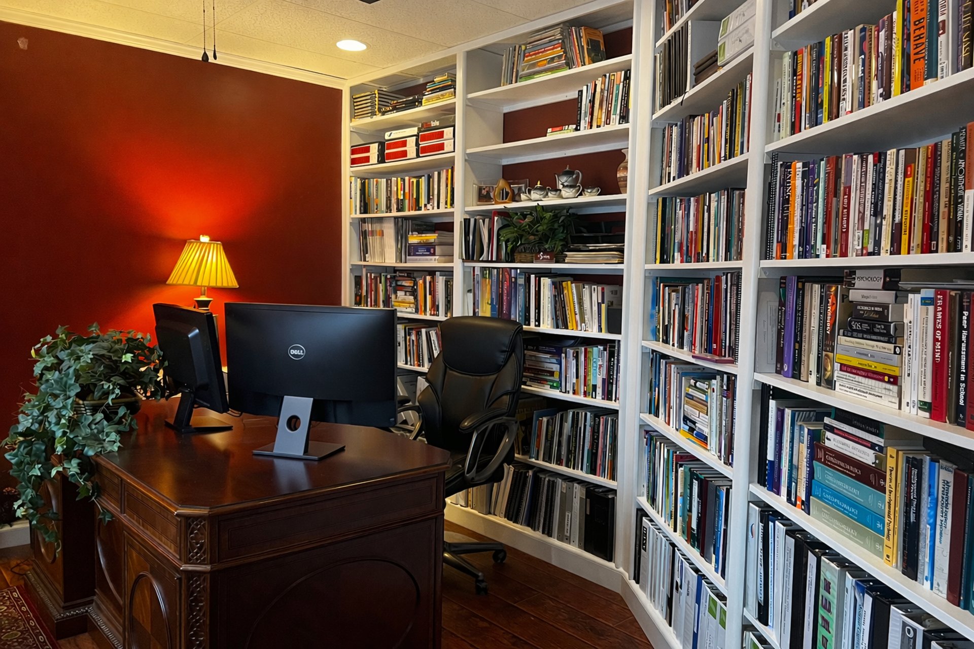 Dr. Hickman's office, bookshelves and desk