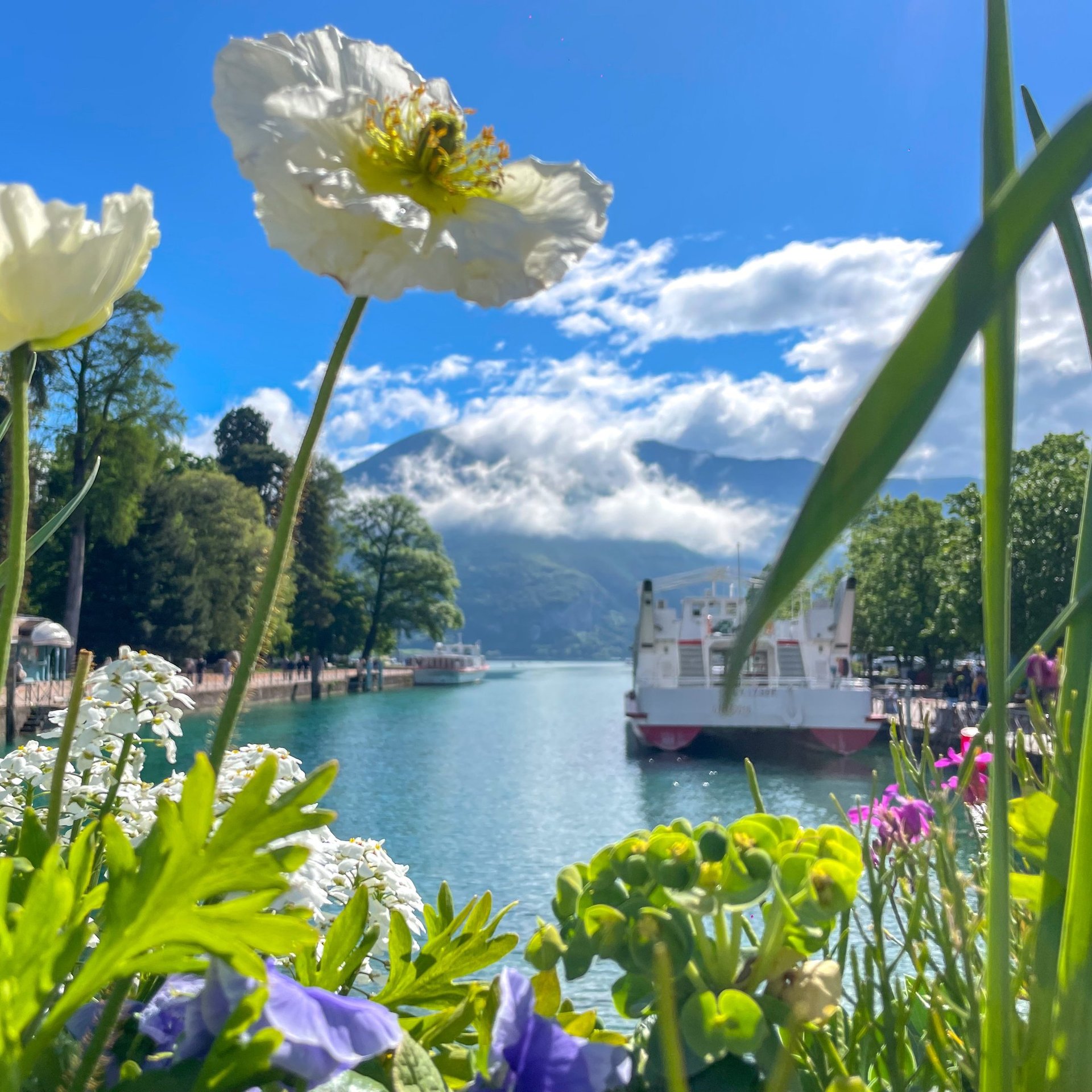an abstract photo of a curved building with a blue sky in the background
