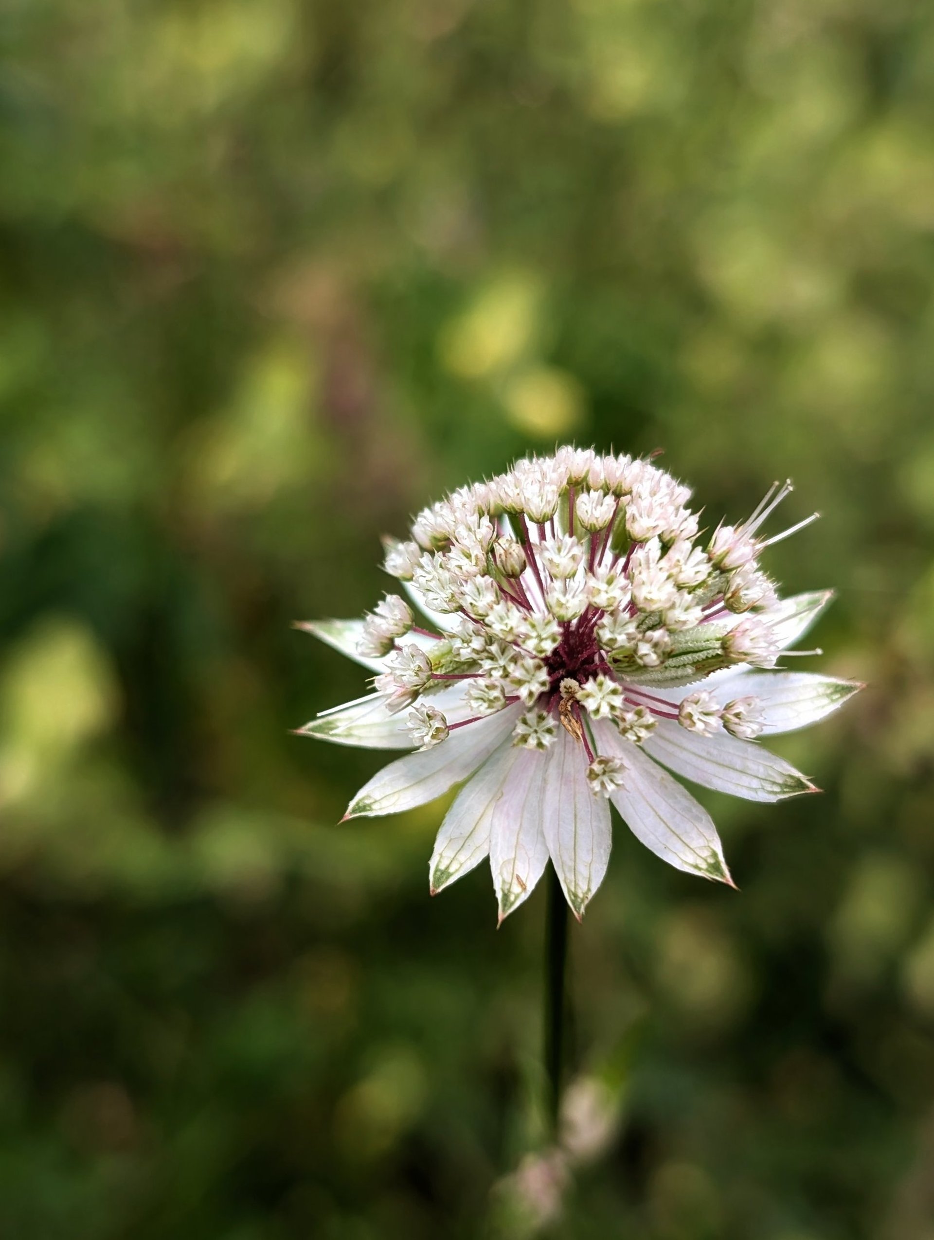 an abstract photo of a curved building with a blue sky in the background