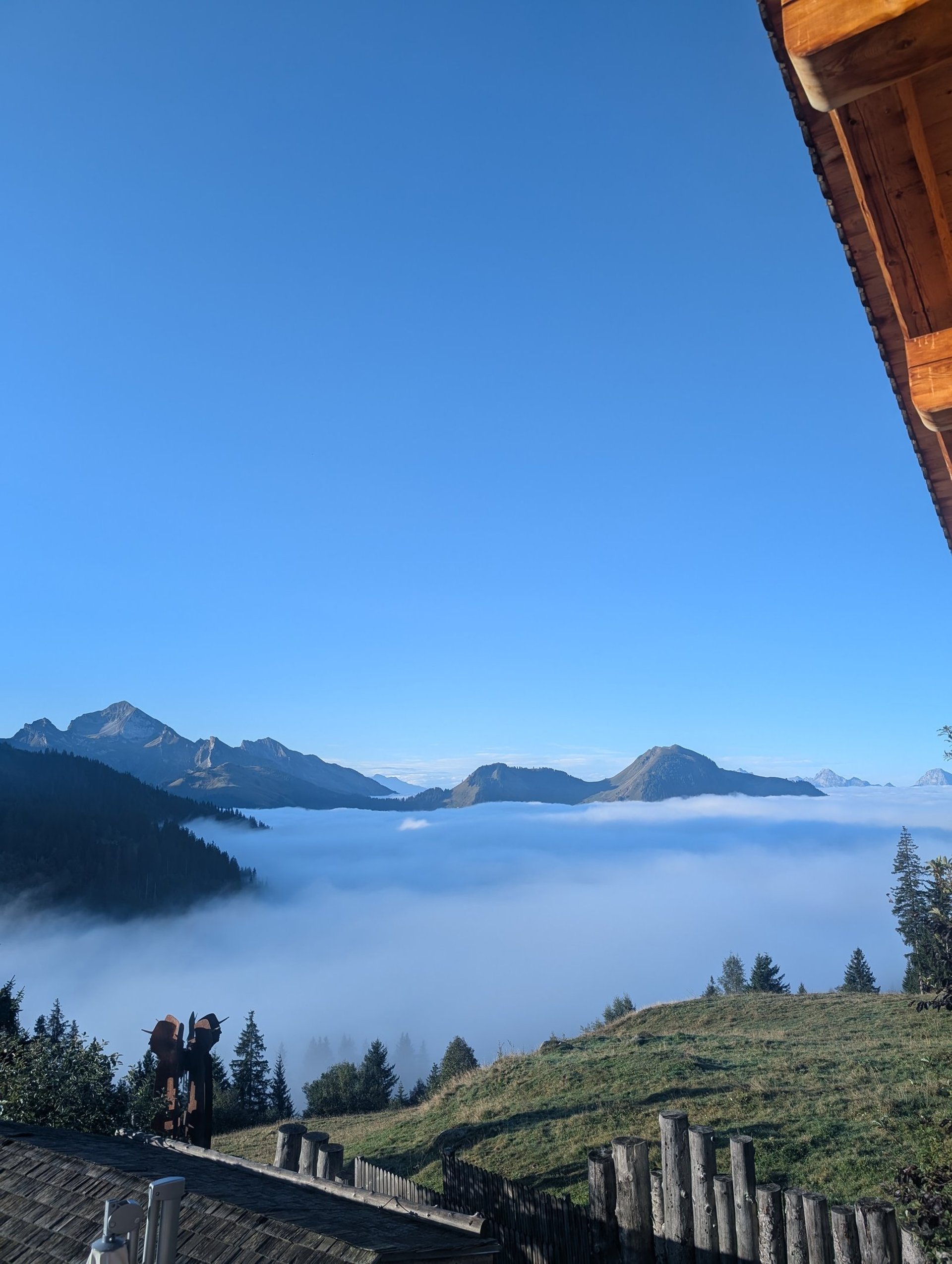 an abstract photo of a curved building with a blue sky in the background