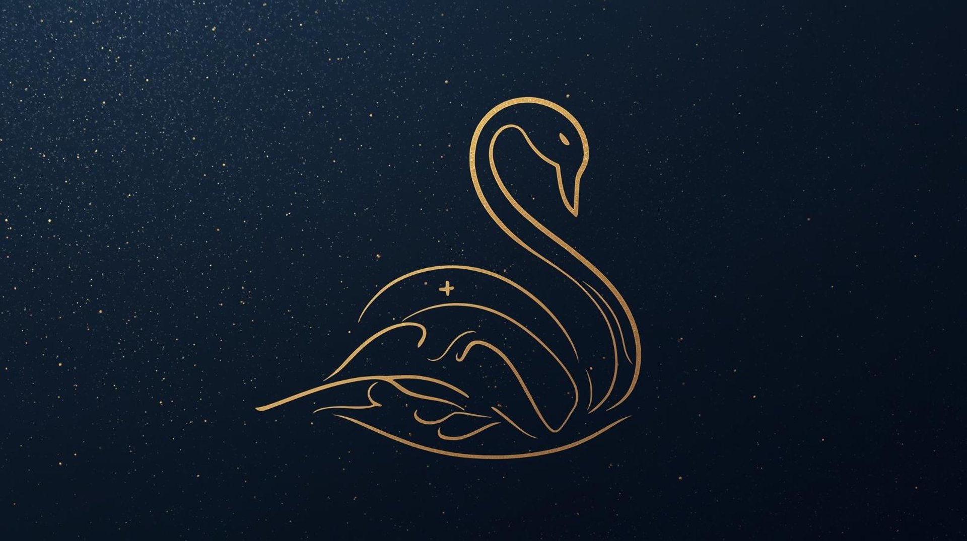 black and white bed linen