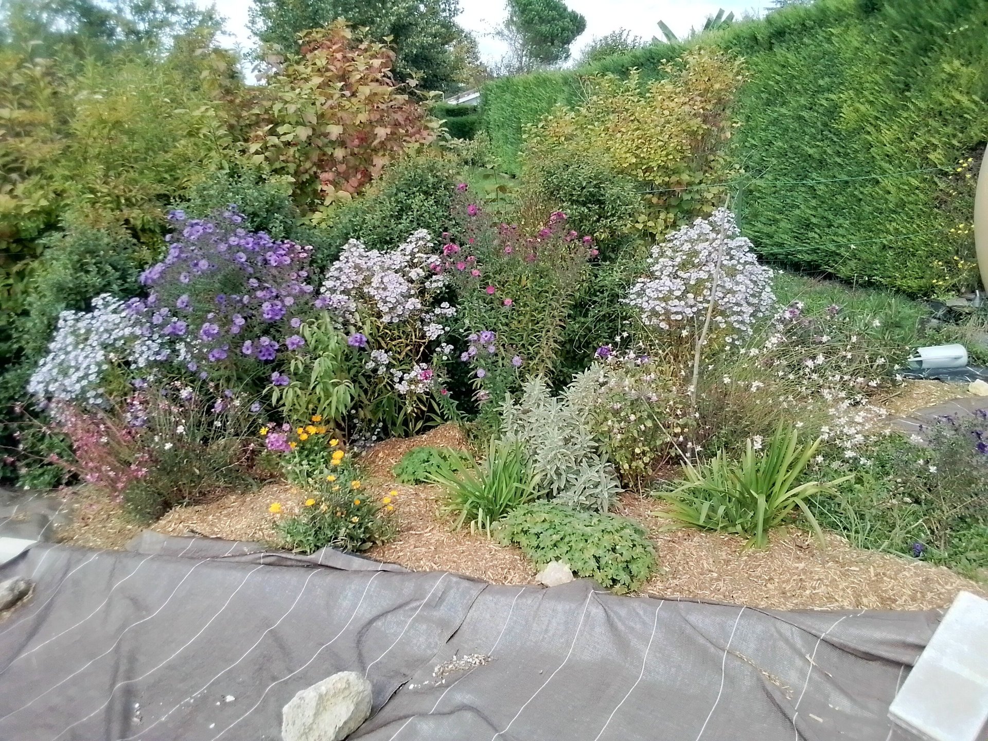 woman wearing yellow long-sleeved dress under white clouds and blue sky during daytime