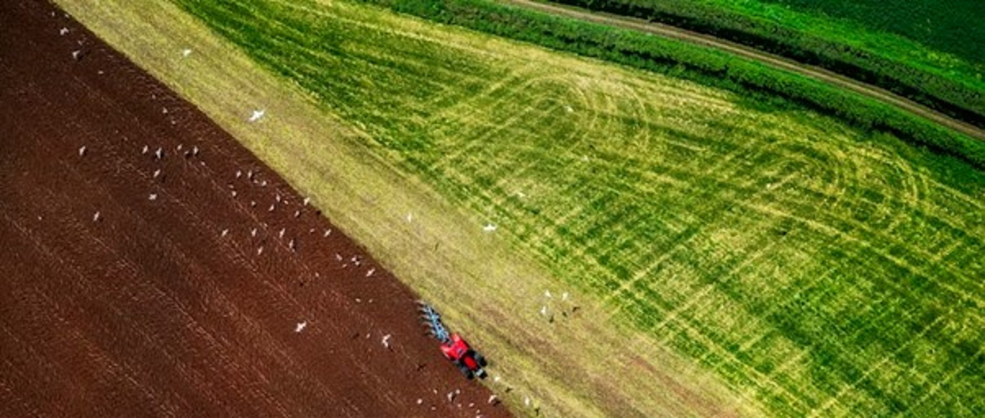 an abstract photo of a curved building with a blue sky in the background