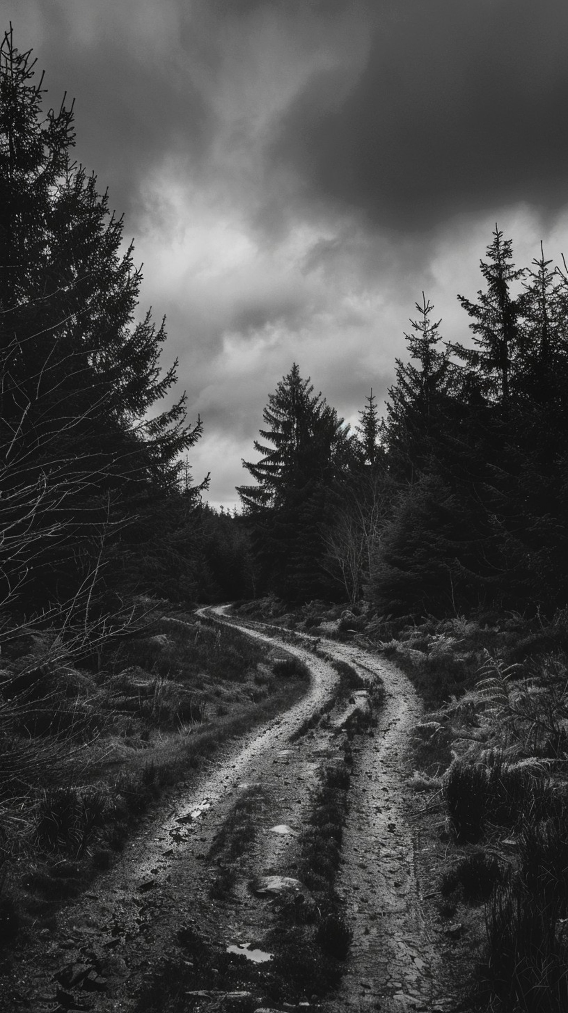 mountain range under blue sky