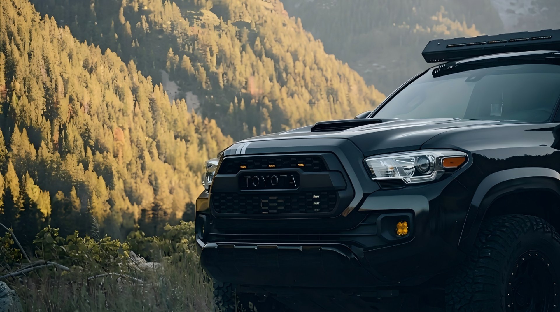 woman holding dried flower