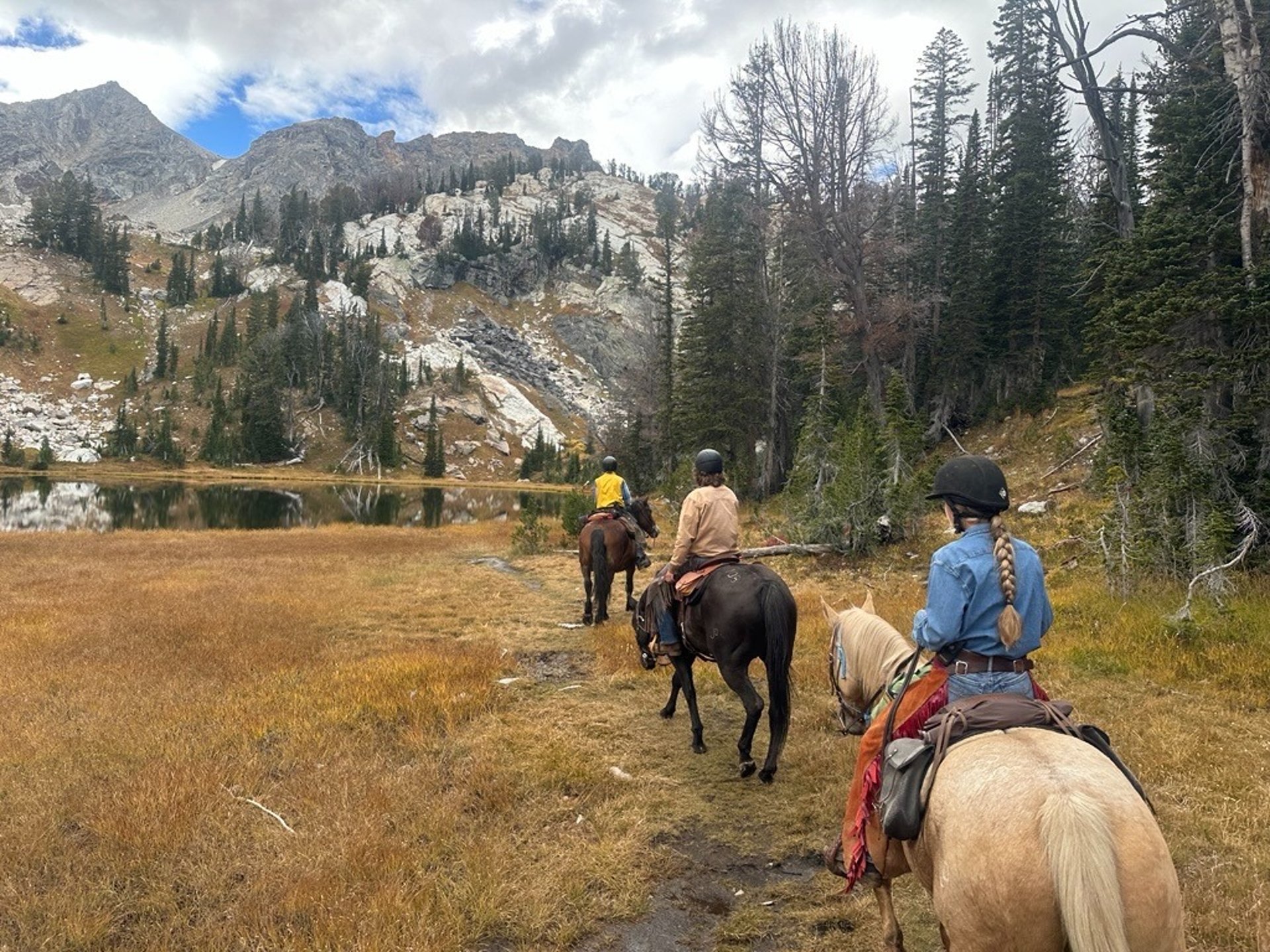 black blue and yellow textile
