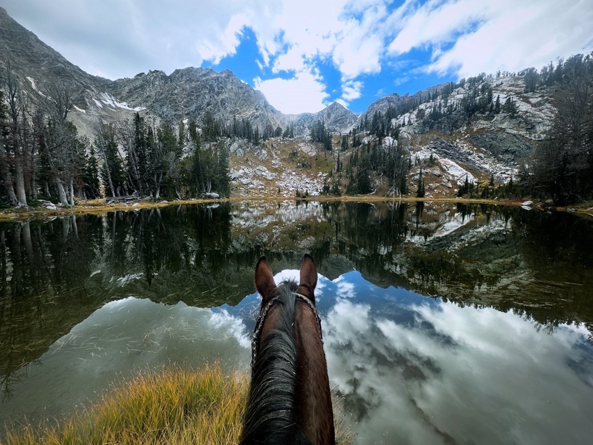 woman wearing yellow long-sleeved dress under white clouds and blue sky during daytime