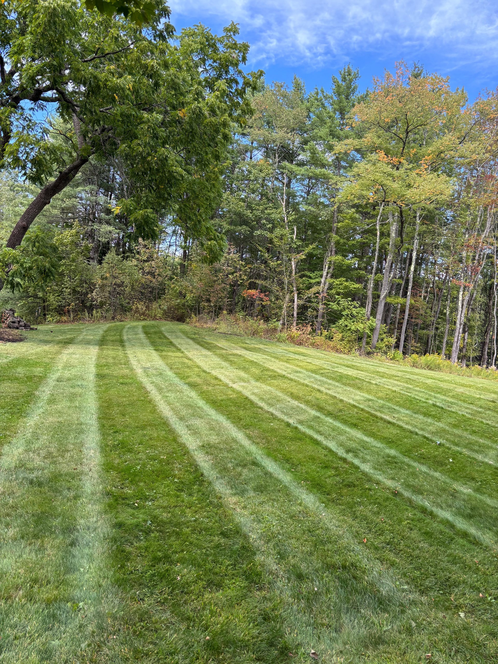 gray computer monitor